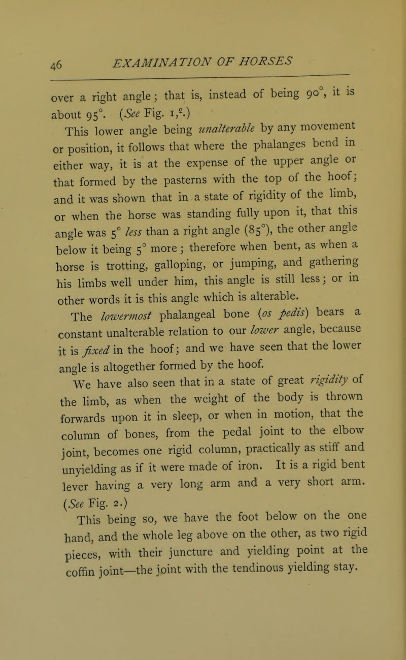 over a right angle; that is, instead of being 900, it is about 950. (See Fig. 1«.) This lower angle being unalterable by any movement or position, it follows that where the phalanges bend in either way, it is at the expense of the upper angle or that formed by the pasterns with the top of the hoof; and it was shown that in a state of rigidity of the limb, or when the horse was standing fully upon it, that this angle was 50 less than a right angle (850), the other angle below it being 50 more; therefore when bent, as when a horse is trotting, galloping, or jumping, and gathering his limbs well under him, this angle is still less; or in other words it is this angle which is alterable. The lowermost phalangeal bone (os pedis) bears a constant unalterable relation to our lower angle, because it is fixed in the hoof; and we have seen that the lower angle is altogether formed by the hoof. We have also seen that in a state of great rigidity of the limb, as when the weight of the body is thrown forwards upon it in sleep, or when in motion, that the column of bones, from the pedal joint to the elbow joint, becomes one rigid column, practically as stiff and unyielding as if it were made of iron. It is a rigid bent lever having a very long arm and a very short arm. (See Fig. 2.) This being so, we have the foot below on the one hand, and the whole leg above on the other, as two rigid pieces, with their juncture and yielding point at the coffin joint—the joint with the tendinous yielding stay.