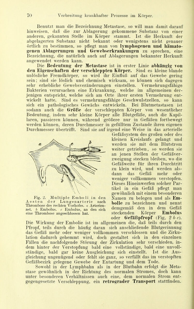Benutzt man die Bezeichnung Metastase, so will man damit darauf hinweisen, daß die zur Ablagerung gekommene Substanz von einer anderen, gekannten Stelle im Körper stammt. Ist die Herkunft der abgelagerten Substanz nicht bekannt oder wenigstens nicht genauer örtlich zu bestimmen, so pflegt man von lympliogeneii und liämato- goiien Ablagerungen und Grei^ebserkrankungen zu sprechen, eine Bezeichnung, die natürlich auch auf Ablagerungen bekannter Herkunft angewendet werden kann. Die Bedeutung der Metastase ist in erster Linie abhängig von den Eigenseliaften der verschleppten Körper. Sind es kleine blande unlösliche Fremdkörper, so wird ihr Einfluß auf das Gewebe gering sein; sind sie löslich und chemisch wirksam, so können sich dagegen sehr erhebliche Gewebsveränderungen einstellen. Vermehrungsfähige Bakterien verursachen eine Erkrankung, welche im allgemeinen der- jenigen entspricht, welche sich am Orte ihrer ersten Vermehrung ent- wickelt hatte. Sind es vermehrungsfähige Geschwulstzellen, so kann sich ein pathologisches Gewächs entwickeln. Bei Blutmetastasen ist sodann auch die Grröße der verschleppten Körper von wesentlicher Bedeutung, indem sehr kleine Körper alle Blutgefäße, auch die Kapil- laren, passieren können, während größere nur in Gefäßen fortbewegt werden können, deren Durchmesser in gefülltem Zustande ihren eigenen Durchmesser übertriff't. Sind sie auf irgend eine Weise in das arterielle Gefäßsystem des großen oder des kleinen Kreislaufs gelangt und werden sie mit dem Blutstrom weiter getrieben, so werden sie an jenen Stellen der Gefäß Ver- zweigung stecken bleiben, wo die Gefäß weite für ihren Durchtritt zu klein wird, und werden als- dann das Gefäß mehr oder weniger vollkommen verstopfen. Dieses Hineinwerfen solcher Par- tikel in ein Gefäß pflegt man gewöhnlich mit einem besonderen Namen zu belegen und als Eni- bolie zu bezeichnen und nennt demgemäß den in dem Gefäß steckenden Körper Embolus oder Gref aßpfropf (Fig, 2 b c). Die Wirkung der Embolie ist im allgemeinen die, daß teils durch den Pfropf, teils durch die häufig daran sich anschließende Blutgerinnung das Gefäß mehr oder weniger vollkommen verschlossen und die Zirku- lation dadurch gehemmt wird, doch gestaltet sich in den einzelnen Fällen die nachfolgende Störung der Zirkulation sehr verschieden, in- dem hinter der Verstopfung bald eine vollständige, bald eine unvoll- ständige, bald gar keine Ausgleichung sich einstellt. Ist die Aus- gleichung ungenügend oder fehlt sie ganz, so verfällt das im verstopften Gefäßbezirk gelegene Gewebe der Entartung und dem Tode. Sowohl in der Lymphbahn als in der Blutbahn erfolgt die Meta- stase gewöhnlich in der Richtung des normalen Stromes, doch kann unter besonderen Verhältnissen auch eine, dem normalen Strom ent- gegengesetzte Verschleppung, ein retrograder Transx)ort stattfinden. Fig. 2. Multiple Emboli in den Aesten der Lungenarterie nach Thrombose des rechten Vorhofes, a Arterien- ast, b Embolus, c Embolus, an den sich eine Thrombose angeschlossen hat.