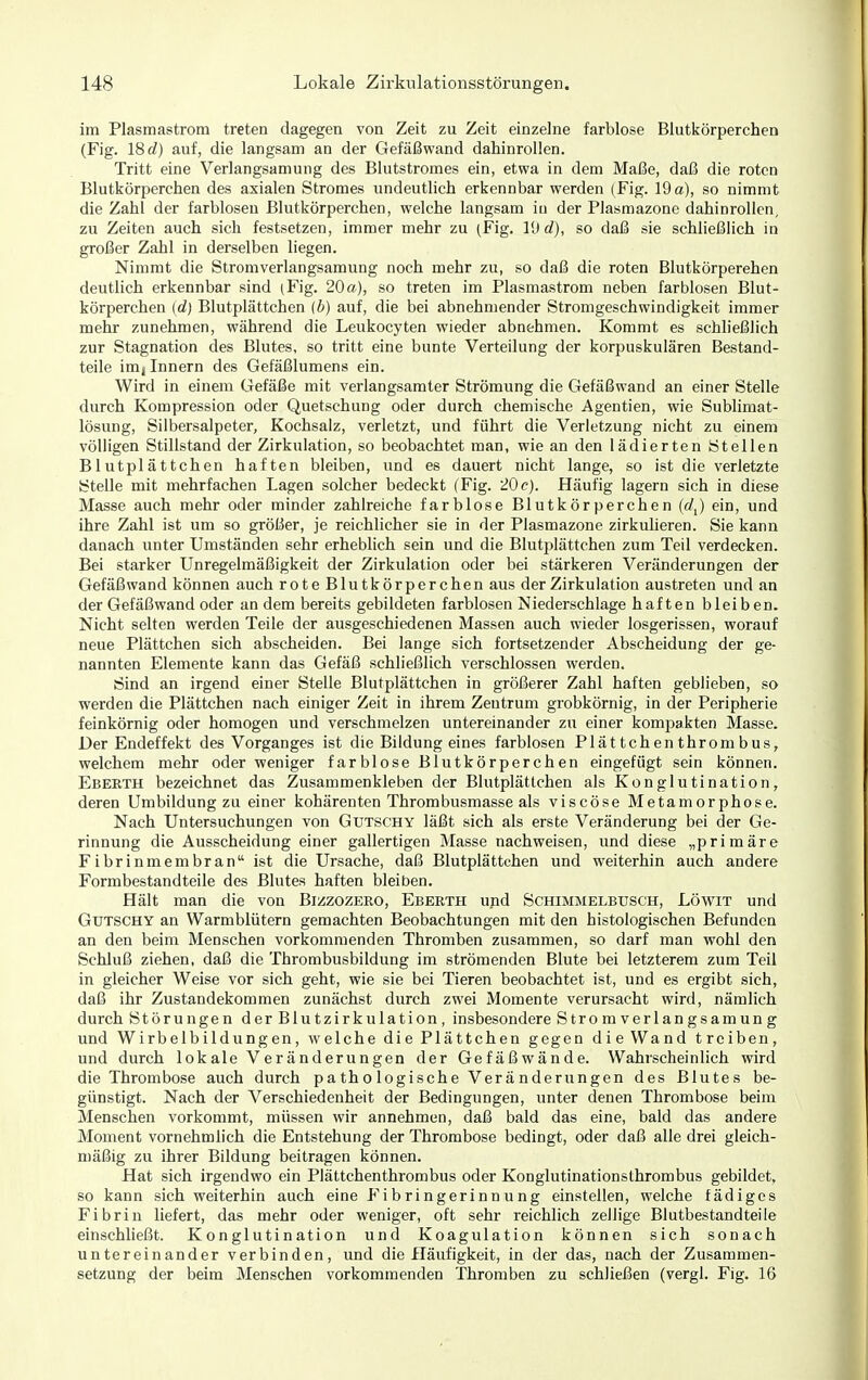im Plasmastrom treten dagegen von Zeit zu Zeit einzelne farblose Blutkörperchen (Fig. 18 d) auf, die langsam an der CTefäßwand dahinrollen. Tritt eine Verlangsamuug des Blutstromes ein, etwa in dem Maße, daß die roten Blutkörperchen des axialen Stromes undeutlich erkennbar werden (Fig. 19 a), so nimmt die Zahl der farblosen Blutkörperchen, welche langsam iu der Plasmazone dahinrollen, zu Zeiten auch sich festsetzen, immer mehr zu (Fig. 19 rf), so daß sie schließlich in großer Zahl in derselben liegen. Nimmt die Stromverlangsamung noch mehr zu, so daß die roten Blutkörperehen deutlich erkennbar sind (Fig. 20a), so treten im Plasmastrom neben farblosen Blut- körperchen (d) Blutplättchen {b) auf, die bei abnehmender Stromgeschwindigkeit immer mehr zunehmen, während die Leukocyten wieder abnehmen. Kommt es schließlich zur Stagnation des Blutes, so tritt eine bunte Verteilung der korpuskulären Bestand- teile im| Innern des Gefäßlumens ein. Wird in einem Gefäße mit verlangsamter Strömung die Gefäßwand an einer Stelle durch Kompression oder Quetschung oder durch chemische Agentien, wie Sublimat- lösung, Silbersalpeter, Kochsalz, verletzt, und führt die Verletzung nicht zu einem völligen Stillstand der Zirkulation, so beobachtet man, wie an den lädierten Stellen Blutplättchen haften bleiben, und es dauert nicht lange, so ist die verletzte Stelle mit mehrfachen Lagen solcher bedeckt (Fig. 20 c). Häufig lagern sich in diese Masse auch mehr oder minder zahlreiche farblose Blutkörperchen (rf,) ein, und ihre Zahl ist um so größer, je reichlicher sie in der Plasmazone zirkulieren. Sie kann danach unter Umständen sehr erheblich sein und die Blutplättchen zum Teil verdecken. Bei starker Unregelmäßigkeit der Zirkulation oder bei stärkeren Veränderungen der Gefäßwand können auch rote Blutkörperchen aus der Zirkulation austreten und an der Gefäßwand oder an dem bereits gebildeten farblosen Niederschlage haften bleiben. Nicht selten werden Teile der ausgeschiedenen Massen auch wieder losgerissen, worauf neue Plättchen sich abscheiden. Bei lange sich fortsetzender Abscheidung der ge- nannten Elemente kann das Gefäß schließlich verschlossen werden. Sind an irgend einer Stelle Blutplättchen in größerer Zahl haften geblieben, so werden die Plättchen nach einiger Zeit in ihrem Zentrum grobkörnig, in der Peripherie feinkörnig oder homogen und verschmelzen untereinander zu einer kompakten Masse. Der Endeffekt des Vorganges ist die Bildung eines farblosen Plättchenthrombus, welchem mehr oder weniger farblose Blutkörperchen eingefügt sein können. Ebeeth bezeichnet das Zusammenkleben der Blutplättchen als Konglutination, deren Umbildung zu einer kohärenten Thrombusmasse als viscöse Metamorphose. Nach Untersuchungen von Gutschy läßt sich als erste Veränderung bei der Ge- rinnung die Ausscheidung einer gallertigen Masse nachweisen, und diese „primäre Fibrinmembran ist die Ursache, daß Blutplättchen und weiterhin auch andere Formbestandteile des Blutes haften bleiben. Hält man die von Bizzozero, Ebeeth upd Schimmelbüsch, Löwit und Gutschy an Warmblütern gemachten Beobachtungen mit den histologischen Befunden an den beim Menschen vorkommenden Thromben zusammen, so darf man wohl den Schluß ziehen, daß die Thrombusbildung im strömenden Blute bei letzterem zum Teil in gleicher Weise vor sich geht, wie sie bei Tieren beobachtet ist, und es ergibt sich, daß ihr Zustandekommen zunächst durch zwei Momente verursacht wird, nämlich durch Störungen der Blutzirkulation, insbesondere Stromverlangsamung und Wirbelbildungen, welche die Plättchen gegen die Wand treiben, und durch lokale Veränderungen der Gefäßwände. Wahrscheinlich wird die Thrombose auch durch pathologische Veränderungen des Blutes be- günstigt. Nach der Verschiedenheit der Bedingungen, unter denen Thrombose beim Menschen vorkommt, müssen wir annehmen, daß bald das eine, bald das andere Moment vornehmlich die Entstehung der Thrombose bedingt, oder daß alle drei gleich- mäßig zu ihrer Bildung beitragen können. Hat sich irgendwo ein Plättchenthrombus oder Konglutinationsthrombus gebildet, so kann sich weiterhin auch eine Fibringerinnung einstellen, welche fädiges Fibrin liefert, das mehr oder weniger, oft sehr reichlich zellige Blutbestandteile einschließt. Konglutination und Koagulation können sich sonach untereinander verbinden, und die Häufigkeit, in der das, nach der Zusammen- setzung der beim Menschen vorkommenden Thromben zu schließen (vergl. Fig. 16