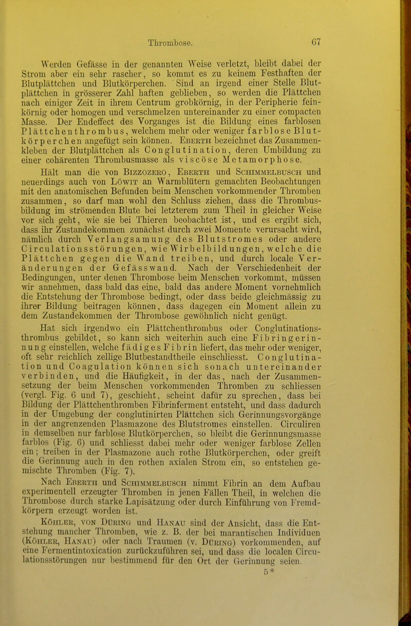 Werden Gefässe in der genannten Weise verletzt, bleibt dabei der Strom aber ein sehr rascher, so kommt es zu keinem Festhaften der Blutplättchen und Blutkörperchen. Sind an irgend einer Stelle Blut- plättchen in grösserer Zahl haften geblieben, so werden die Plättchen nach einiger Zeit in ihrem Centrum grobkörnig, in der Peripherie fein- körnig oder homogen und verschmelzen untereinander zu einer compacten Masse. Der Endeflfect des Vorganges ist die Bildung eines farblosen Plättchenthrorabus, welchem mehr oder weniger farblose Blut- körperchen angefügt sein können. Eberth bezeichnet das Zusammen- kleben der Blutplättchen als Conglutination, deren Umbildung zu einer cohärenten Thrombusmasse als viscöse Metamorphose. Hält man die von Bizzozkro, Eberth und Schimmelbusch und neuerdings auch von Löwit an Warmblütern gemachten Beobachtungen mit den anatomischen Befunden beim Menschen vorkommender Thromben zusammen, so darf man wohl den Schluss ziehen, dass die Thrombus- bildung im strömenden Blute bei letzterem zum Theil in gleicher Weise vor sich geht, wie sie bei Thieren beobachtet ist, und es ergibt sich, dass ihr Zustandekommen zunächst durch zwei Momente verursacht wird, nämlich durch Verlangsamung des Blutstromes oder andere Circulationsstörungen, wie Wirbelbildungen, welche die Plättchen gegen die Wand treiben, und durch locale Ver- änderungen der Gefässwand. Nach der Verschiedenheit der Bedingungen, unter denen Thrombose beim Menschen vorkommt, müssen wir annehmen, dass bald das eine, bald das andere Moment vornehmlich die Entstehung der Thrombose bedingt, oder dass beide gleichmässig zu ihrer Bildung beitragen können , dass dagegen ein Moment allein zu dem Zustandekommen der Thrombose gewöhnhch nicht genügt. Hat sich irgendwo ein Plättchenthrombus oder Conglutinations- thrombus gebildet, so kann sich weiterhin auch eine Fibringerin- nung einstellen, welche fädigesFibrin liefert, das mehr oder weniger, oft sehr reichlich zellige Blutbestandtheile einschliesst. Conglutina- tion und Coagulation können sich sonach untereinander verbinden, und die Häufigkeit, in der das, nach der Zusammen- setzung der beim Menschen vorkommenden Thromben zu schliessen (vergl. Fig. 6 und 7), geschieht, scheint dafür zu sprechen, dass bei Bildung der Plättchenthromben Fibrinferment entsteht, und dass dadurch in der Umgebung der conglutinirten Plättchen sich Gerinnungsvorgänge in der angrenzenden Plasmazone des Blutstromes einstellen. Circuliren in demselben nur farblose Blutkörperchen, so bleibt die Gerinnungsmasse farblos (Fig. 6) und schliesst dabei mehr oder weniger farblose Zellen ein; treiben in der Plasmazone auch rothe Blutkörperchen, oder greift die Gerinnung auch in den rothen axialen Strom ein, so entstehen ge- mischte Thromben (Fig. 7). Nach Eberth und Schimmelbusch nimmt Fibrin an dem Aufbau experimentell erzeugter Thromben in jenen Fällen Theil, in welchen die Thrombose durch starke Lapisätzung oder durch Einführung von Fremd- körpern erzeugt worden ist. Köin.ER, VON DüRTN« Und Hanau sind der Ansicht, dass die Ent- stehung mancher Thromben, wie z. B. der bei marantischen Individuen (Köhler, Hanau) oder nach Traumen (v. Düring) vorkommenden, auf eine Fermentintoxication zurückzuführen sei, und dass die localen Circu- lationsstörungen nur bestimmend für den Ort der Gerinnung seien.