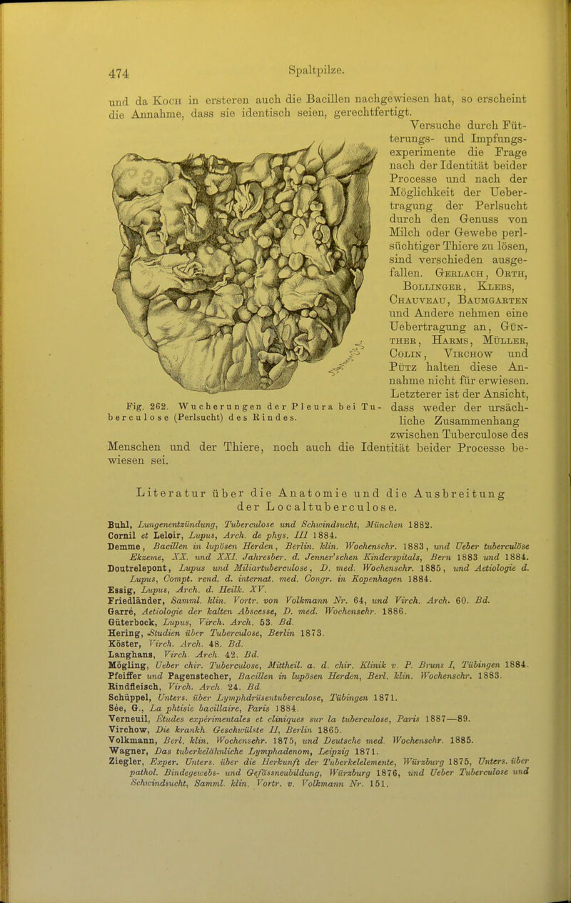 iincl da Koch in ersteren auch die Bacillen nachgewiesen hat, so erscheint die Annahme, dass sie identisch seien, gerechtfertigt. Versuche durch Füt- terungs- und Impfungs- experimente die Frage nach der Identität beider Processe und nach der Möghchkeit der Ueber- tragung der Perlsucht durch den Genuss von Milch oder Gewebe perl- süchtiger Thiere zu lösen, sind verschieden ausge- fallen. Gbelach, Orth, BOLLINGBB, KlEBS, Chauveau, Baumgaeten und Andere nehmen eine Uebertragung an, GfiN- THEE, HaeMS , MÜLLBE, Colin , Vibchow und Pütz halten diese An- nahme nicht für erwiesen. Letzterer ist der Ansicht, Fig. 262. Wucherungen der Pleura bei Tu- dass weder der ursäch- b e r c u 1 o s e (Perlsucht) d e s R i n d e s. ^^j^g Zusammenhang zwischen Tuberculose des Menschen und der Thiere, noch auch die Identität beider Processe be- wiesen sei. Literatur über die Anatomie und die Ausbreitung der Localtuberculose. BaM, Lungenentzündung, Tuberculose und Schioindsucht, München 1882. Cornil et Leloir, Lupus, Arch. de phys. III 1884. Damme, Bacillen in lupösen Herden, Berlin. Min. Wochenschr. 1883, und Ueber tubercuLöse Ekzeme, XX. und XXI. Jahreiber. d. Jenner'sehen Kinderspitals, Bern 1883 und 1884. Doutrelepont, Lupus und Miliartuberculose, D. med. Wochenschr. 1885, und Aetiologie d. Lupus, Compt. rend. d. Internat, med. Congr. in Kopenhagen 1884. Essig, Lupus, Arch. d. Heilh. XV. Friedländer, Samml. Hin. Vortr. von Volkmann Nr. 64, und Virch. Arch. 60. Bd. Garre, Aetiologie der kalten Äbscesse, D. med. Wochenschr. 1886. ßüterbock, Lupus, Virch. Arch. 53. Bd. Hering, .Studien über Tuberculose, Berlin 1873. Köster, Virch. Arch. 48. Bd. Langhans, Virch. Arch. 42. Bd. Högling, üeber chir. Tuberculose, Mittheil. a. d. chir. Klinik v. P. Bruns /, Tübingen 1884. Pfeiffer und Fagenstecher, Bacillen in lupösen Herden, Berl. hlin. Wochenschr. 1883. Eindfleisch, Virch. Arch. 24. Bd Schüppel, Unters, über Lymphdrüsentuberculose, Tübingen 1871. See, G., La phtisie bacillaire, Paris 1884. Verneuil, Etudes experimentales et cliniques sur la tuberculose, Paris 1887—89. Virchow, Die krankh. Geschioühte II, Berlin 1865. Volkmann, Berl. klin. yVochenschr. 1875, und Deutsche med. Wochenschr. 1885. Wagner, Das tuberkelähnliche Lymphadenom, Leipzig 1871. Ziegler, Exper. Unters, über die Herkunft der Tuberkelelemente, Würzburg 1875, Unters, über pathol. Bindegewebs- und Oefässneubüdung, Würzburg 1876, und Ueber Tuberculose und Schwindsucht, Samml. klin. Vortr. v. Volkmann Nr. 151.