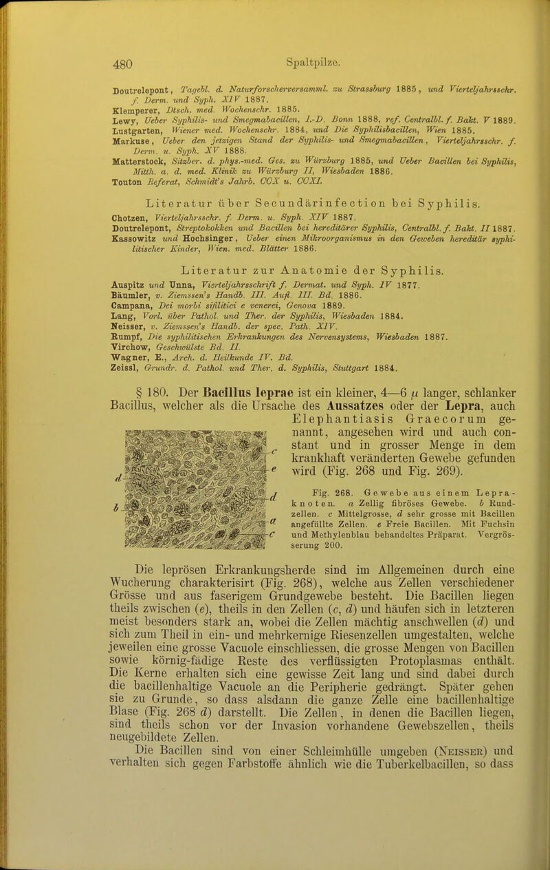 Doutrelepont, Tagebl. d. Naturforscherversamml. au Strassburg 1885, und Vierteljahr »sehr. f. Derm. und Syph. XIV 1887. Klemperer, Dtsch. med. Wochenachr. 1885. lewy, Ueber Syphilis- und Svicgmabacillen, I.-D. Bonn 1888, ref. Centralbl. f. Bakt. F 1889. Lastgarten, Wiener med. Wochenachr. 1884, und Die Syphilisbacillen, Wien 1885. Markuse, Ueber den jetzigen Stand der Syphilis- und Smegmabacillen, Vierteljahraschr. f. Derm. u. Syph. XV 1888. Matterstock, Sitzber. d. phys.-med. Oes. zu Würzburg 1885, und Ueber Bacillen bei Syphilis, Mitth. a. d. med. Klinik zu Würzburg II, Wiesbaden 1886. Touton Referat, Schmidt's Jahrb. COX u. CCXI. Literatur über Se cun däri n f e c ti o n bei Syphilis. Chotzen, Vierteljahrsschr. f. Derm. u. Syph. XIV 1887. Doutrelepont, Streptokokken und Bacillen bei hereditärer Syphilis, Centralbl./. Bakt. //1887. Kassowitz uiid Hochsinger, Ueber einen Mikroorganismus in den Geweben hereditär syphi- litischer Kinder, Wien. med. Blätter 1886. Literatur zur Anatomie der Syphilis. Auspitz und Unna, Visrteljahrsschrift f. Dermat. und Syph. IV 1877. Bäumler, ». 2iemssen's Handb. III. Aufl. III. Bd. 1886. Campana, Dei morbi sifilitici e venerei, Genova 1889. Lang, Vorl. über Pathol. und Tlier. der Syphilis, Wiesbaden 1884. Neisser, v. Ziemssen's Handb. der spec. Path. XIV. Sumpf, Die syphilitischen Erkrankungen des Nervensystems, Wiesbaden 1887. Virchow, Geschwülste Bd. II. Wagner, E., Arch. d. Heilkunde IV. Bd. Zeissl, Grundr. d. Pathol. und Ther. d. Syphilis, Stuttgart 1884. § 180. Der Bacillus leprae ist ein kleiner, 4—6 f.i langer, schlanker Bacillus, welcher als die Ursache des Aussatzes oder der Lepra, auch Elephantiasis Graecorum ge- nannt, angesehen wird und auch con- stant und in grosser Menge in dem krankhaft veränderten Gewebe gefunden wird (Fig. 268 und Fig. 269). Fig. 268. Gowebe aus einem Lepra- knoten, a Zeüig fibröses Gewebe, b Rund- zeüen. c Mittelgrosse, d sehr grosse mit Bacillen angefüllte Zellen, e Freie Bacillen. Mit Fuchsin und Methylenblau behandeltes Präparat. Vergrös- serung 200. Die leprösen Erkrankuugsherde sind im Allgemeinen durch eine Wucherung charakterisirt (Fig. 268), welche aus Zellen verschiedener Grösse und aus faserigem Grundgewebe besteht. Die Bacillen liegen theils zwischen (e), theils in den Zellen (c, d) und häufen sich in letzteren meist besonders stark an, wobei die Zellen mächtig anschwellen (d) und sich zum Theil in ein- und mehrkernige Riesenzellen umgestalten, welche jeweilen eine grosse Vacuole einschliessen, die grosse Mengen von Bacillen sowie körnig-fädige Reste des verflüssigten Protoplasmas enthält. Die Kerne erhalten sich eine gewisse Zeit lang und sind dabei durch die bacillenhaltige Vacuole an die Peripherie gedrängt. Später gehen sie zu Grunde, so dass alsdann die ganze Zelle eine bacillenhaltige Blase (Fig. 268 d) darstellt. Die Zellen, in denen die Bacillen liegen, sind theils schon vor der Invasion vorhandene Gewebszellen, theils neugebildete Zellen. Die Bacillen sind von einer Schleimhülle umgeben (Xeisser) und verhalten sich gegen Farbstoffe ähnlich wie die Tuberkelbacillen, so dass