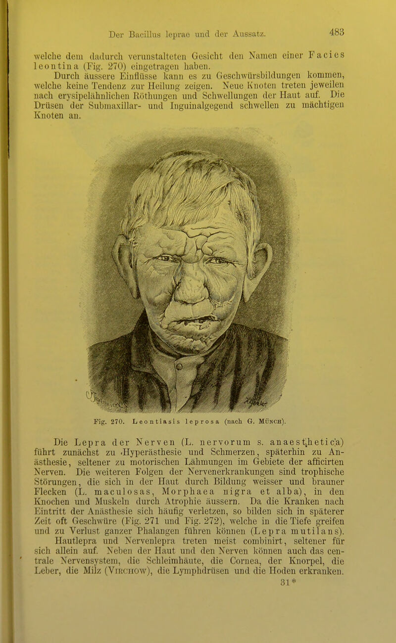 welche dem dadurch verunstalteten Gesicht den Namen einer Facies leoutina (Fig. 270) eingetragen haben. Durch äussere Einflüsse kann es zu Geschwürsbildungen kommen, welche keine Tendenz zur Heilung zeigen. Neue Knoten treten jeweilen nach erysipelähnlichen Röthungeji und Schwellungen der Haut auf. Die Drüsen der Submaxillar- und Inguinalgegend schwellen zu mächtigen Knoten an. Fig. 270. Leontiasis leprosa (nach G. Münch). Die Lepra der Nerven (L. nervorum s. anaestjhetic'a) führt zunächst zu .Hyperästhesie und Schmerzen, späterhin zu An- ästhesie, seltener zu motorischen Lähmungen im Gebiete der afficirten Nerven. Die weiteren Folgen der Nervenerkrankungen sind trophische Störungen, die sich in der Haut durch Bildung weisser und brauner Flecken (L. maculosas, Morphaea nigra et alba), in den Knochen und Muskeln durch Atrophie äussern. Da die Kranken nach Eintritt der Anästhesie sich häufig verletzen, so bilden sich in späterer Zeit oft Geschwüre (Fig. 271 und Fig. 272), welche in die Tiefe greifen und zu Verlust ganzer Phalangen führen können (Lepra mutilans). Hautlepra und Nervenlepra treten meist combinirt, seltener für sich allein auf Neben der Haut und den Nerven können auch das cen- trale Nervensystem, die Schleimhäute, die Cornea, der Knorpel, die Leber, die Milz (Virchow), die Lymphdrüsen und die Hoden erkranken. 31*