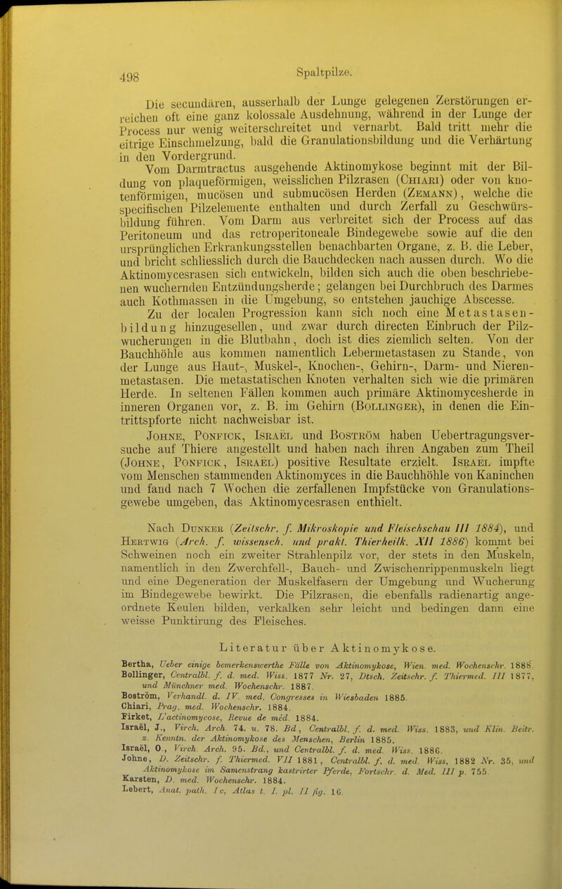 Die secuudären, ausserhalb der Luuge gelegeuen Zerstörungen er- reichen oft eine ganz kolossale Ausdehnung, während in der Lunge der Process nur wenig weiterschreitet und vernarbt. Bald tritt mehr die eitrige Einschmelzung, bald die Granulationsbildung und die Verhäitung in den Vordergrund. Vom Darmtractus ausgehende Aktinomykose beginnt mit der Bil- dung von plaqueförmigen, weisslichen Pilzrasen (Chiaiu) oder von kno- tenförmigen, mucösen und submucösen Herden (Zemann) , welche die specifischen' Pilzelemente enthalten und durch Zerfall zu Geschwürs- bildung führen. Vom Darm aus verbreitet sich der Process auf das Peritoneum und das retroperitoneale Bindegewebe sowie auf die den ursprüngHchen Erkrankungsstellen benachbarten Organe, z. B. die Leber, und bricht schliesslich durch die Bauchdecken nach aussen durch. Wo die Aktinomycesrasen sich entwickeln, bilden sich auch die oben beschriebe- nen wuchernden Entzündungsherde; gelangen bei Durchbruch des Darmes auch Kothmasseu in die Umgebung, so entstehen jauchige Abscesse. Zu der localen Progression kann sich noch eine Metastasen- bildung hinzugesellen, und zwar durch directen Einbruch der Pilz- wucherungen in die Blutbahn, doch ist dies ziemlich selten. Von der Bauchhöhle aus kommen namentlich Lebermetastaseu zu Stande, von der Lunge aus Haut-, Muskel-, Knochen-, Gehirn-, Darm- und Niereu- metastasen. Die metastatischen Knoten verhalten sich wie die primären Herde. In seltenen Fällen kommen auch primäre Aktiuomycesherde in inneren Organen vor, z. B. im Gehirn (Bollinger), in denen die Ein- trittspforte nicht nachweisbar ist. Johne, Ponfick, Israel und Boström haben Uebertragungsver- suche auf Thiere angestellt und haben nach ihren Angaben zum Theil (Johne, Ponfick, Israel) positive Resultate erzielt. Israel impfte vom Menschen stammenden Aktinomyces in die Bauchhöhle von Kaninchen und fand nach 7 Wochen die zerfallenen Impfstücke von Granulations- gewebe umgeben, das Aktinomycesrasen enthielt. Nach DuNKEß {Zeilscfir. f. Mikroskopie und Fleischschau III 1884), und Hebtwig {Jrck. f. wissensch. und prakl. Thierheilk. All 1886) kommt bei Schweinen noch ein zweiter Strahlenpilz vor, der stets in den Muskeln, namentlich in den Zwerchfell-, Bauch- und Zwischenrippenmuskeln liegt und eine Degeneration der Muskelfasern der Umgebung und Wucherung im Bindegewebe bewirkt. Die Pilzrasen, die ebenfalls radienartig ange- ordnete Keulen bilden, verkalken sehr leicht und bedingen dann eine w^eisse Punktirung des Fleisches. Literatur über Aktinomykose. Bertha, Ue^er einige hemerkenawerthe Fälle von Aktinomykose, Wien. med. iVochensrhr. 1888 Bollinger, Centralbl. f. d. med. Wiss. 1877 Nr. 27, Dtsch. Zeüschr. f. Thiermed. III 1877. und Münchner med. Wochenschr. 1887. Boström, \^erhandl. d. IV. med. Congresses in Wiesbaden 1885. CMari, Frag. med. Wochenschr. 1884. Firket, L'actinomycose, Revue de med. 1884. Israel, J., Vireh. Arch. 74. u. 78. ßd, Centralbl./. d. med. Wiss. 1883, niid Klln. Beitr. z. Kenntn. der Aktinomykose des Menschen, Berlin 1885. Israel, 0., Virch. Arch. 95. Bd., und Centralbl. f. d. med. WisH. 188G. Johne, D. Zeitschr. f. Thiermed. VII 1881, Centralbl. f. d. med. Wiss. 1882 AV. 35, und Aktinomykose im Samenstrang kastrirter Pferde, Fortsein-, d. Med. III p. 755. Karsten, D. med. Wochenschr. 1884. Lebert, .Inat. 2'ath. Je, Atlas t. 1. pl. II /ig. IG.