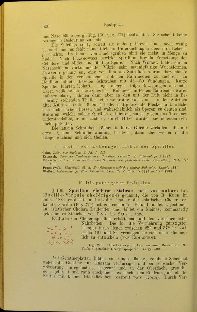 und Nasenhöhle (vergl. Fig. 100, pag. 201) beobachtet. Sie scheint keine pathogene Bedeutung zu haben. Die Spirillen sind, soweit sie nicht pathogen sind, noch wenig bekannt, und es fehlt namentlich an Untersuchungen über ihre Lebens- o-eschich'te. Im Inhalt von Jauchegruben sind sie meist in Menge zu hndeu. Nach Prazmowski bewirkt Spirillum Rugula Zersetzung der Cellulose und bildet endständige Sporen. Nach Weibel bildet ein im Nasenschleim vorkommender Vibrio sehr mannigfaltige Wuchsformen. EsMARCii gelang es, eine von ihm als Spirillum rubrum bezeichnete Spirille in den verschiedenen üblichen Nährmedien zu züchten. In Bouillon bildete dieselbe Schrauben mit 43—50 Windungen. Kurze Spirillen führten lebhafte, lange dagegen träge Bewegungen aus oder waren vollkommen bewegungslos. Kolonieen in festem Nährboden waren anfangs blass, nahmen dann aber an den mit der Luft nicht in Be- rührung stehenden Theilen eine weinrothe Farbe an. In den Spirillen alter Kulturen traten 3 bis 4 helle, mattglänzende Flecken auf, welche sich nicht färben Hessen und wahrscheinlich als Sporen zu deuten sind. Kulturen, welche solche Spirillen enthielten, waren gegen das Trocknen widerstandsfähiger als andere; durch Hitze wurden sie indessen sehr leicht getödtet. Die langen Schrauben können in kurze Glieder zerfallen, die nur etwa einer Schraubenwindung besitzen, dann aber wieder in die Länge wachsen und sich theilen. Literatur zur Lebensgeschichte der Spirillen. Cohn, Beitr. vmt Biologie d. Pfl. I—///. Esmarch, Ueber die Eeinlcultur eines Spirillum, Centralhl. f. Bakteriologie I 1887. Kitasato , Ueber die HeinJcultur eines Spirillum aus faulendem Blute, Centralbl. f. BaTct. III 1888. Prazmowski, Untersuch, vb. d. Entwickelungsgeschiclite einiger Bakterien, Leipzig 1880. Weibel, Untersuchungen über Vibrionen, Centralbl. f. Baict. II 1887 und IV 1888. b) Die pathogenen Spirillen. § 186. Si)irilliim cholerae asiaticae, auch Kommabacillus (Bacille-Virgule cholerigene) genannt, die von R. Koch im Jahre 1884 entdeckte und als die Ursache der asiatischen Cholera er- kannte Spirille (Fig. 279), ist ein constanter Befund in den Dejectionen an asiatischer Cholera Leidender und bildet ein kleines, kommaartig gekrümmtes Stäbchen von 0,8 bis 2,0 f-i Länge. Kulturen der Choleraspirillen erhält man auf den verschiedensten Nährböden. Die für die Vermehrung günstigsten ^v. > ^ Temperaturen liegen zwischen 25 und 37 C; zwi- ^ f ^ y sehen 16 und 8 vermögen sie sich noch kümmcr- rc-- lieh zu entwickeln (van Ermengem). V Fig. 279. Choleraspirillen aus einer Reinkultur. Mit Fuchsin gefärbtes Deckglaspräparat. Vergr. 400. Auf Gelatineplatten bilden sie runde, flache, gelbliche Scheibeut welche die Gelatine nur langsam verflüssigen und bei schwacher Vor- grösserung uiiregelmässig begrenzt und an der Oberfläche granulir, oder gefurcht und rauh erscheinen; es macht den Eindruclf, als ol) die Kultur mit khiinen Glasstückchen bestreut wäre (Koch). Durch Ver-