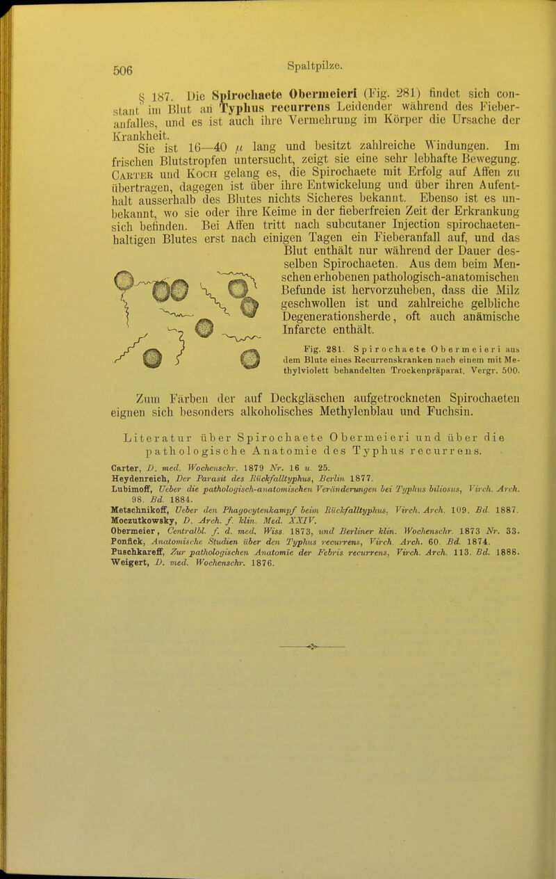 § 187. Die Spirochaete Obermeieri (Fig. 281) findet sich coii- staiit im Blut aii Typhus recurrens Leidender während des Fieber- aulalles, und es ist auch ihre Vermehrung im Körper die Ursache der Krankheit. Sie ist 16—40 lang und besitzt zahlreiche Bindungen. Im frischen Blutstropfen untersucht, zeigt sie eine sehr lebhafte Bewegung. Carter und Koch gelang es, die Spirochaete mit Erfolg auf Affen zu übertragen, dagegen ist über ihre Entwickelung und über ihren Aufent- halt ausserhalb des Blutes nichts Sicheres bekannt. Ebenso ist es un- bekannt, wo sie oder ihre Keime in der fieberfreien Zeit der Erkrankung sich befinden. Bei Affen tritt nach subcutaner Injection spirochaeten- haltigen Blutes erst nach einigen Tagen ein Fieberanfall auf, und das Blut enthält nur während der Dauer des- selben Spirochaeten. Aus dem beim Meu- tv-w3(!^>(p!S^ sehen erhobenen pathologisch-anatomischen '^f^^ So Befunde ist hervorzuheben, dass die Milz ^ geschwollen ist und zahlreiche gelbliche ^^^^—Degenerationsherde, oft auch anämische / ^2 ^-w^ Infarcte enthält. J Fig. 281. Spirochaete Obermeieri aus ) dem Blute eines Recurrenskranken nach einem mit Me- thylviolett behandelten Trockenpräparat. Vergr. 500. Zum Färben der auf Deckgläsclien aufgetrockneten Spirochaeten eignen sich besonders alkoholisches Methylenblau und Fuchsin. Literatur über Spirochaete Obermeieri und über die pathologische Anatomie des Typhus recurrens. Carter, D. med. Wochenschr. 1879 Nr. 16 w. 25. Heydenreich, Der Parasit des Bückfalltyphus, Berlin 1877. LubimofF, Ueber die pathologisch-anatomischen Veränderungen bei Typhus biliosus, Virch. Arch. 98, Bd. 1884. Metschnikoif, Ueber den Phagocytenhamp/ beim RiichfalUyphns. Virch. Arch. 109. Bd. 1887. Moczutkowsky, D. Arch. f. Min. Med. XXIV. Obermeier, Centralbl. f. d. med. Wiss. 1873, und Berliner Min. Wochenschr. 1873 Nr. 33. Ponflck, Anatomische Studien über den Typhus recurrens, Virch. Arch. 60. Bd. 1874. Fuschkareff, Zur pathologischen Anatomie der Febris recurrens, Virch. Arch. 113. Bd. 1888. Weigert, D. med. Wochenschr. 1876.