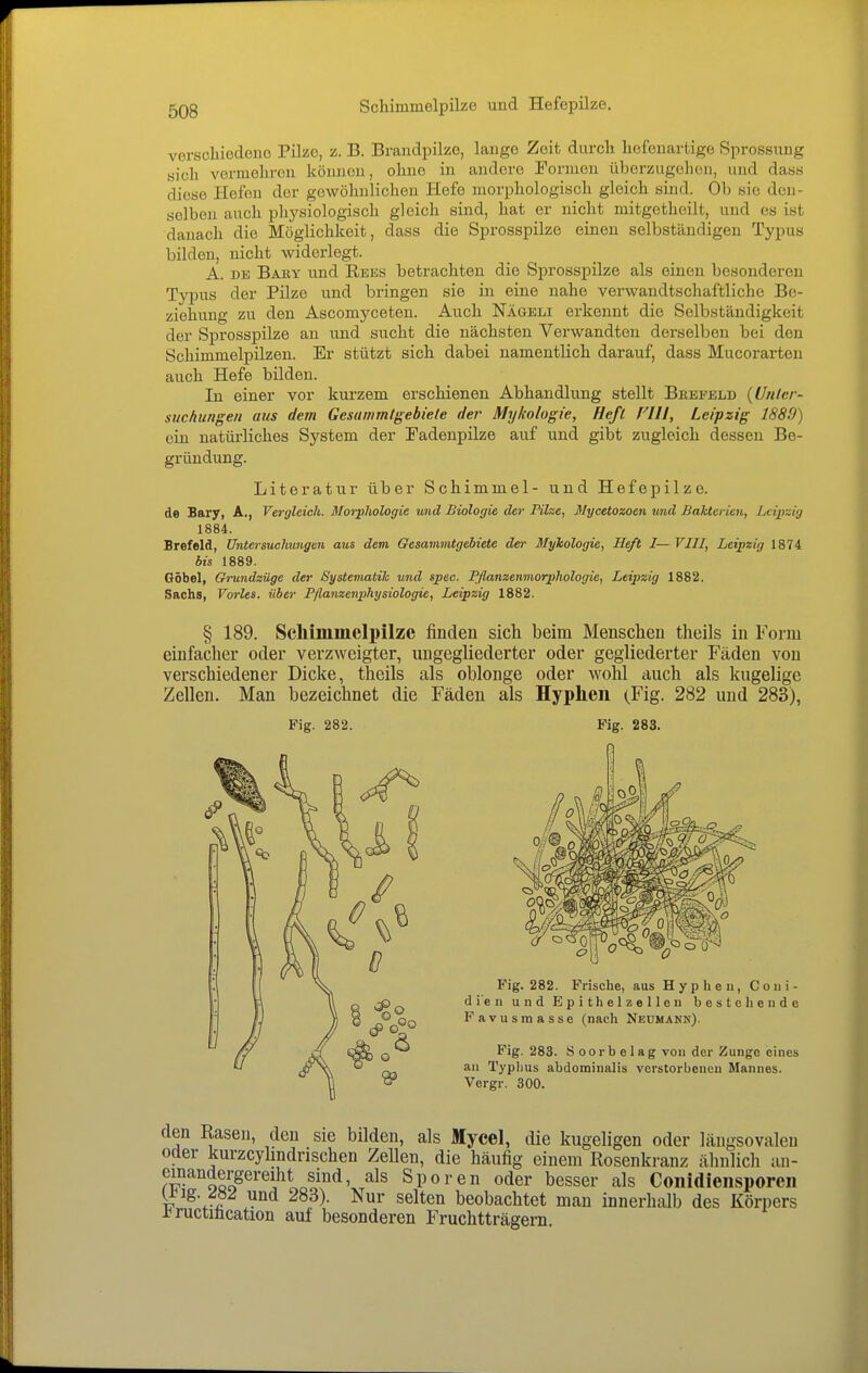 verschiedeno Pilzo, z. B. Brandpilze, lange Zeit durcli liefenartige Sprossnng sich vermehren können, ohne in andere Formen überzugelion, und dass diese Hefen der gewöhnlichen Hefe morphologisch gleich sind. Ob sie den- selben auch physiologisch gleich sind, hat er nicht mitgetheilt, und es ist danach die Möglichkeit, dass die Sprosspilze einen selbständigen Typus bilden, nicht widerlegt. A. DK Baby und Reks betrachten die Sprosspilze als einen besonderen Typus der Pilze und bringen sie in eine nahe verwandtschaftliche Be- ziehung zu den Ascomyceten. Auch Nägeli erkennt die Selbständigkeit der Sprosspilze an und sucht die nächsten Verwandten derselben bei den Schimmelpilzen. Er stützt sich dabei namentlich darauf, dass Mucorarten auch Hefe bilden. In einer vor kurzem erschienen Abhandlung stellt Beeeeld {Utilcr- suchungen aus dem Gesunmtgebiele der Mykologie, Heß FIII, Leipzig 1889) ein natürliches System der Fadenpilze auf und gibt zugleich dessen Be- gründung. Literatur über Schimmel- und Hefepilze. de Bary, A., Vergleich. Morphologie und Biologie der Pilze, Mycetozoen und Bakterien, Leipzig 1884. Brefeld, Untersuchungen aus dem Gesammtgebiete der Mykologie, Heft I— VIII, Leipzig 1874 bis 1889. Oöbel, Grundzüge der Systematik und spec. Fflanzenmorphologie, Leipzig 1882. Sachs, Vöries, über Pflanzenphysiologie, Leipzig 1882. § 189. Scliimiiieli)ilze finden sich beim Menschen theils in Form einfacher oder verzweigter, ungegliederter oder gegliederter Fäden von verschiedener Dicke, theils als oblonge oder wohl auch als kugelige Zellen. Man bezeichnet die Fäden als Hyplien (Fig. 282 und 283), Fig. 282. Fig. 283. den Rasen, den sie bilden, als Myeel, die kugeligen oder längsovaleu oder kurzcylmdrischen Zellen, die häufig einem Rosenkranz ähnlich an- oQo^^^'^^Lo^^^' Sporen oder besser als Conidiensporen Ubig. und 283). Nur selten beobachtet mau innerhalb des Körpers i^ructilication auf besonderen Fruchtträgern