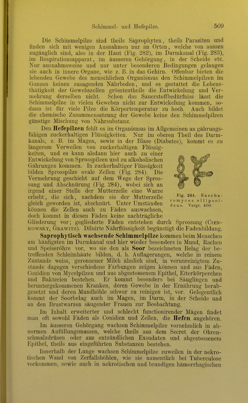 Die Scliiiumelpilze sind theils Saprophyten, theils Parasiten und finden sich mit wenigen Ausnahmen nur an Orten, welche von aussen zugänglich sind, also in der Haut (Fig. 282), im Darmkanal (Fig. 283), im Respirationsapparat, im äusseren Gehörgang, in der Scheide etc. Nur ausnahmsweise und nur unter besonderen Bedingungen gelangen sie auch in innere Organe, wie z. B. in das Gehirn. Offenbar bieten die lebenden Gewebe des menschlichen Organismus den Schimmelpilzen im Ganzen keinen zusagenden Nährboden, und es gestattet die Lebens- thiltigkeit der Gewebszellen grösstentheils die Entwickelung und Ver- mehrung derselben nicht. Schon das Sauerstoff'bedürfniss lässt die Schimmelpilze in vielen Geweben nicht zur Entwickelung kommen, so- dann ist für viele Pilze die Körpertemperatur zu hoch. Auch bildet die chemische Zusammensetzung der Gewebe keine den Schimmelpilzen günstige Mischung von Nährsubstanz. Den Hefepilzen fehlt es im Organismus im Allgemeinen an gährungs- fähigen zuckerhaltigen Flüssigkeiten. Nur im oberen Theil des Darm- kanals, z. B. im Magen, sowie in der Blase (Diabetes), kommt es zu längerem Verweilen von zuckerhaltigen Flüssig- keiten, und es kann alsdann liier auch zu einer Entwickelung von Sprosspilzen und zu alkohoUschen Gährungen kommen. In zuckerhaltiger Flüssigkeit bilden Sprosspilze ovale Zellen (Fig. 284). Die Vermehrung geschieht auf dem Wege der Spros- sung und Abschnürung (Fig. 284), wobei sich an irgend einer Stelle der Mutterzelle eine Warze erhebt, die sich, nachdem sie der Mutterzelle rom^ce^s* efn'^'soV gleich geworden ist, abschnürt. Unter Umständen deus!''^ Veigr. 400.''*' können die Zellen auch zu Fäden auswachsen, doch kommt in diesen Fäden keine nachträgliche Gliederung vor; gegliederte Fäden entstehen durch Sprossung (Cien- KOWSKY, Grawitz). Diluirte Nährflüssigkeit begünstigt die Fadenbildung. Saprophytisch wachsende Schimmelpilze kommen beim Menschen am häufigsten im Darmkanal und hier wieder besonders in Mund, Rachen und Speiseröhre vor, wo sie den als Soor bezeichneten Belag der be- treffenden Schleimhäute bilden, d. h. Auflagerungen, welche in reinem Zustande weiss, geronnener Milch ähnlich sind, in verunreinigtem Zu- stande dagegen verschiedene Färbungen zeigen können und aus Fäden, Cüuidien von Mycelpilzen und aus abgestossenem Epithel, Eiterkörperchen und Bakterien bestehen. Er kommt besonders bei Säuglingen und heruntergekommenen Kranken, deren Gewebe in der Ernährung herab- gesetzt und deren Mundhöhle schwer zu reinigen ist, vor. Gelegentlich kommt der Soorbelag auch im Magen, im Darm, in der Scheide und an den Brustwarzen säugender Frauen zur Beobachtung. Im Inhalt erweiterter und schlecht functionirender Mägen findet man oft sowohl Fäden als Conidien und Zellen, die Hefen angehören. Im äusseren Gehörgang wachsen Schimmelpilze vornehmlich in ab- normen Anfüllungsmassen, welche theils aus dem Secret der Ohren- schmalzdrüsen oder aus entzündlichen Exsudaten und abgestossenem p]pithel, tlieils aus eingeführten Substanzen bestehen. Innerhalb der Lunge wachsen Schimmelpilze zuweilen in der nekro- tisclien Wand von Zerfallshöhlen, wie sie namentlich bei Tuberculose vorkommen, sowie auch in nekrotischen und brandigen hämorrhagischen