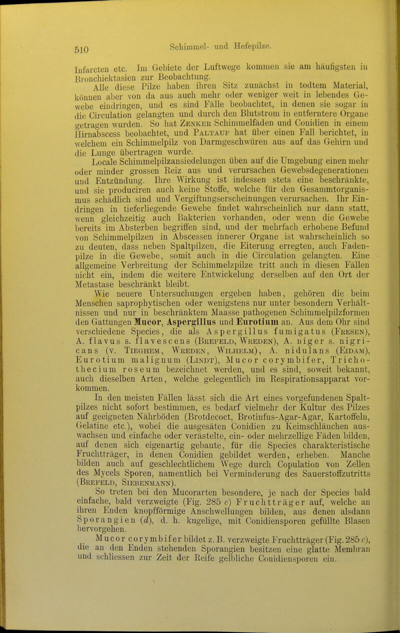 lufarcten etc. Im Gebiete der Luftwege kommen sie am häufigsten in Brouchiektasien zur Beobachtung. Alle diese Pilze haben ihren Sitz zunächst in todtem Material, können aber von da aus auch mehr oder weniger weit in lebendes Ge- webe eindringen, und es sind Fälle beobachtet, in denen sie sogar in die Circulation gelangten und durch den Blutstroni in entferntere Organe getragen wurden. So hat Zenkkk Schinimelfäden und Conidien in einem Hirnabscess beobachtet, und Paltauf hat über einen Fall berichtet, in welchem ein Schimmelpilz von Darmgeschwüren aus auf das Gehirn und die Lunge übertragen wurde. Locale Schimmelpilzansiedelungen üben auf die Umgebung einen mehr oder minder grossen Reiz aus und verursachen Gewebsdegenerationen und Entzündung. Ihre Wirkung ist indessen stets eine beschränkte, und sie produciren auch keine Stoffe, welche für den Gesammtorganis- mus schädhch sind und Vergiftungserscheinungen verursachen. Ihr Ein- dringen in tieferliegende Gewebe findet wahrscheinlich nur dann statt, wenn gleichzeitig auch Bakterien vorhanden, oder wenn die Gewebe bereits im Absterben begriffen sind, und der mehrfach erhobene Befund von Schimmelpilzen in Abscessen innerer Organe ist wahrscheinlich so zu deuten, dass neben Spaltpilzen, die Eiterung erregten, auch Faden- pilze in die Gewebe, somit auch in die Circulation gelangten. Eine allgemeine Verbreitung der Schimmelzpilze tritt auch in diesen Fällen nicht ein, indem die weitere Entwickelung derselben auf den Ort der Metastase beschränkt bleibt. Wie neuere Untersuchungen ergeben haben, gehören die beim Menschen saprophytischen oder wenigstens nur unter besondern Verhält- nissen und nur in beschränktem Maasse pathogenen Schimmelpilzformeu den Gattungen Mucor, Asi)ergillus und Eurotium an. Aus dem Ohr sind verschiedene Speeles, die als Aspergillus fumigatus (Fresen), A. flavus s. flavescens (Brefeld, Wreden), A. niger s. nigri- cans (v. TiEGHEM, Wreden, Wilhelm), A. nidulans (Eidam), Eurotium malignum (Lindt), M u co r c o r y m b if er, Tricho- thecium roseum bezeichnet werden, und es sind, soweit bekannt, auch dieselben Arten, welche gelegentlich im Respirationsapparat vor- kommen. In den meisten Fällen lässt sich die Art eines vorgefundenen Spalt- pilzes nicht sofort bestimmen, es bedarf vielmehr der Kultur des Pilzes auf geeigneten Nährböden (Brotdecoct, Brotinfus-Agar-Agar, Kartoffeln, Gelatine etc.), wobei die ausgesäten Conidien zu Keimschläuchen aus- wachsen und einfache oder verästelte, ein- oder mehrzellige Fäden bilden, auf denen sich eigenartig gebaute, für die Speeles charakteristische Fruchtträger, in denen Conidien gebildet werden, erheben. Manche bilden auch auf geschlechtlichem Wege durch Copulation von Zellen des Mycels Sporen, namentlich bei Verminderung des Sauerstoffzutritts (Brefeld, Siebenmann). So treten bei den Mucorarten besondere, je nach der Speeles bald einfache, bald verzweigte (Fig. 285 c) Fruchtträger auf, welche an ihren Enden knopfförmige Anschwellungen bilden, aus denen alsdann Sporangien (d), d. h. kugelige, mit Conidiensporen gefüllte Blasen hervorgehen. Mucorcorymbifer bildet z. B. verzweigte Fruchtträger (Fig. 285 c), die an den Enden stehenden Sporangieu besitzen eine glatte Membran und schliessen zur Zeit der Reife gelbliche Couidieusporeu ein.