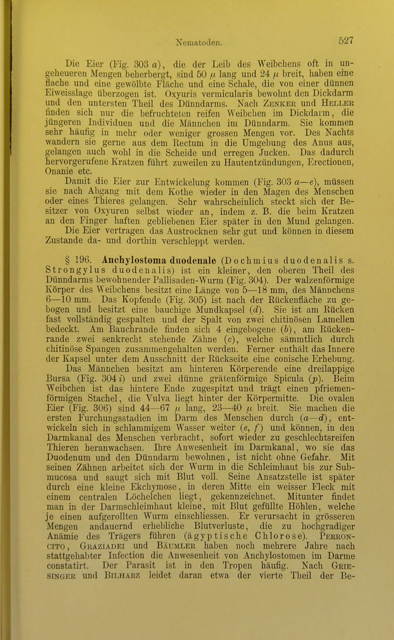 Die Eier (Fig. 303 a), die der Leib des Weibchens oft in un- geheueren Mengen beherbergt, sind 50 lang und 24 /:i breit, haben eine ficiche und eine gewölbte FLäche und eine Schale, die von einer dünnen Eivveisslage überzogen ist. Oxyuris vermicularis bewohnt den Dickdarm und den untersten Theil des Dünndarms. Nach Zenker und Heller finden sich nur die befruchteten reifen Weibchen im Dickdarm, die jüngeren Individuen und die Männchen im Dünndarm. Sie kommen sehr häufig in mehr oder weniger grossen Mengen vor. Des Nachts wandern sie gerne aus dem Rectum in die Umgebung des Anus aus, gelangen auch wohl in die Scheide und erregen Jucken. Das dadurch hervorgerufene Kratzen führt zuweilen zu Hautentzündungen, Erectionen, Onanie etc. Damit die Eier zur Entwickelung kommen (Fig. 303 a—e), müssen sie nach Abgang mit dem Kothe wieder in den Magen des Menschen oder eines Thieres gelangen. Sehr wahrscheinlich steckt sich der Be- sitzer von Oxyuren selbst wieder an, indem z. B. die beim Kratzen an den Finger haften gebliebenen Eier später in den Mund gelangen. Die Eier vertragen das Austrocknen sehr gut und können in diesem Zustande da- und dorthin verschleppt werden. § 196. Anchylostoma duodenale (Dochmius duodenalis s. Strongylus duodenalis) ist ein kleiner, den oberen Theil des Dünndarms bewohnender Pallisaden-Wurm (Fig. 304). Der walzenförmige Körper des Weibchens besitzt eine Länge von 5—18 mm, des Männchens 6—10 mm. Das Kopfende (Fig. 305) ist nach der Eückenfläche zu ge- bogen und besitzt eine bauchige Mundkapsel (d). Sie ist am Rücken fast vollständig gespalten und der Spalt von zwei chitinösen Lamellen bedeckt. Am Bauchrande finden sich 4 eingebogene (&), am Rücken- rande zwei senkrecht stehende Zähne (c), welche sämmtlich durch chitinöse Spangen zusammengehalten werden. Ferner enthält das Innere der Kapsel unter dem Ausschnitt der Rückseite eine conische Erhebung. Das Männchen besitzt am hinteren Körperende eine dreilappige Bursa (Fig. 304 i) und zwei dünne grätenförmige Spicula (p). Beim Weibchen ist das hintere Ende zugespitzt und trägt einen pfriemen- förmigen Stachel, die Vulva liegt hinter der Körpermitte. Die ovalen Eier (Fig. 306) sind 44—67 lang, 23—40 f.i breit. Sie machen die ersten Furchungsstadien im Darm des Menschen durch (a—d), ent- wickeln sich in schlammigem Wasser weiter (e, f) und können, in den Dannkanal des Menschen verbracht, sofort wieder zu geschlechtsreifen Thieren heranwachsen. Ihre Anwesenheit im Darmkanal, wo sie das Duodenum und den Dünndarm bewohnen, ist nicht ohne Gefahr. Mit seinen Zähnen arbeitet sich der Wurm in die Schleimhaut bis zur Sub- mucosa und saugt sich mit Blut voll. Seine Ansatzstelle ist später durch eine kleine Ekchymose, in deren Mitte ein weisser Fleck mit einem centralen Löchelchen liegt, gekennzeichnet. Mitunter findet man in der Darmschleimhaut kleine, mit Blut gefüllte Höhlen, welche je einen aufgerollten Wurm einschliessen. Er verursacht in grösseren Mengen andauernd erhebliche Blutverluste, die zu hochgradiger Anämie des Trägers führen (ägyptische Chlorose). Perron- ciTO, Graziadei und Bäumler haben noch mehrere Jahre nach stattgehabter Infection die Anwesenheit von Anchylostomen im Darme constatirt. Der Parasit ist in den Tropen häufig. Nach Grie- singer und Bilharz leidet daran etwa der vierte Theil der Be-