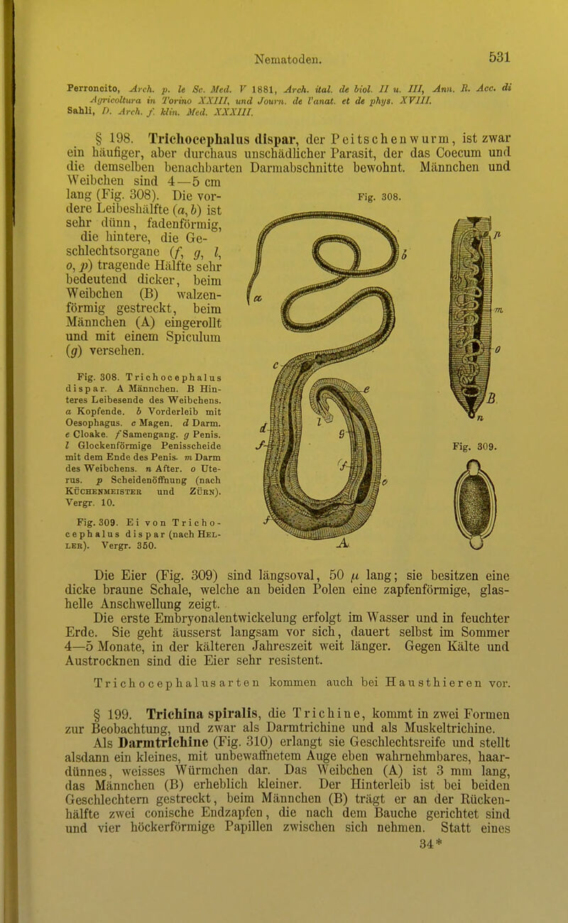 Perroncito, Arch. p. le Sc. Med. V 1881, Arch. üal. de Mol. II u. III, Ann. R. Acc. di AyricoUura in l'orino XXIII, und Journ. de l'anat. et de phijs. XVIII. Sahli, D. Arch. f. Min. Med. XXXIII. § 198. Triehocephalus dispar, der Peitschen wurm, ist zwar ein häufiger, aber durchaus unschädlicher Parasit, der das Coecum und die demselben benachbarten Darmabschnitte bewohnt. Männchen und Weibchen sind 4—5 cm dere Leibeshälfte (a, h) ist sehr dünn, fadenförmig, die hintere, die Ge- schlechtsorgane (/; (/, ^, 0, p) tragende Hälfte sehr bedeutend dicker, beim Weibchen (B) walzen- förmig gestreckt, beim Männchen (A) eingerollt und mit einem Spiciüum (</) versehen. Fig. 308. Triehocephalus dispar. A Männchen. B Hin- teres Leibesende des Weibchens. a Kopfende, b Vorderleib mit Oesophagus, c Magen, d Darm, e Cloake. /Samengang, g Penis. l Glockenförmige Penisscheide mit dem Ende des Penis, m Darm des Weibchens, n After, o Ute- rus, p Scheidenöfliiung (nach KÜCHENMEISTER und ZÜKN). Vergr. 10. Fig. 309. Ei von Trieho- cephalus dispar (nach Hel- ler). Vergr. 350. dicke braune Schale, welche an beiden Polen eine zapfenförmige, glas- helle Anschwellung zeigt. Die erste Embryonalentwickelung erfolgt im Wasser und in feuchter Erde. Sie geht äusserst langsam vor sich, dauert selbst im Sommer 4—5 Monate, in der kälteren Jahreszeit weit länger. Gegen Kälte und Austrocknen sind die Eier sehr resistent. Trichocephalusarten kommen auch bei Hausthieren vor. § 199. Trichina spiralis, die Trichine, kommt in zwei Formen zur Beobachtung, und zwar als Darmtrichine und als Muskeltrichine. Als Darmtrlchine (Fig. 310) erlangt sie Geschlechtsreife und stellt alsdann ein kleines, mit unbewaifnetem Auge eben wahrnehmbares, haar- dünnes, weisses Würmchen dar. Das Weibchen (A) ist 3 mm lang, das Männchen (B) erheblich kleiner. Der Hinterleib ist bei beiden Geschlechtem gestreckt, beim Männchen (B) trägt er an der Rücken- hälfte zwei conische Endzapfen, die nach dem Bauche gerichtet sind und vier höckerförmige Papillen zwischen sich nehmen. Statt eines 34*