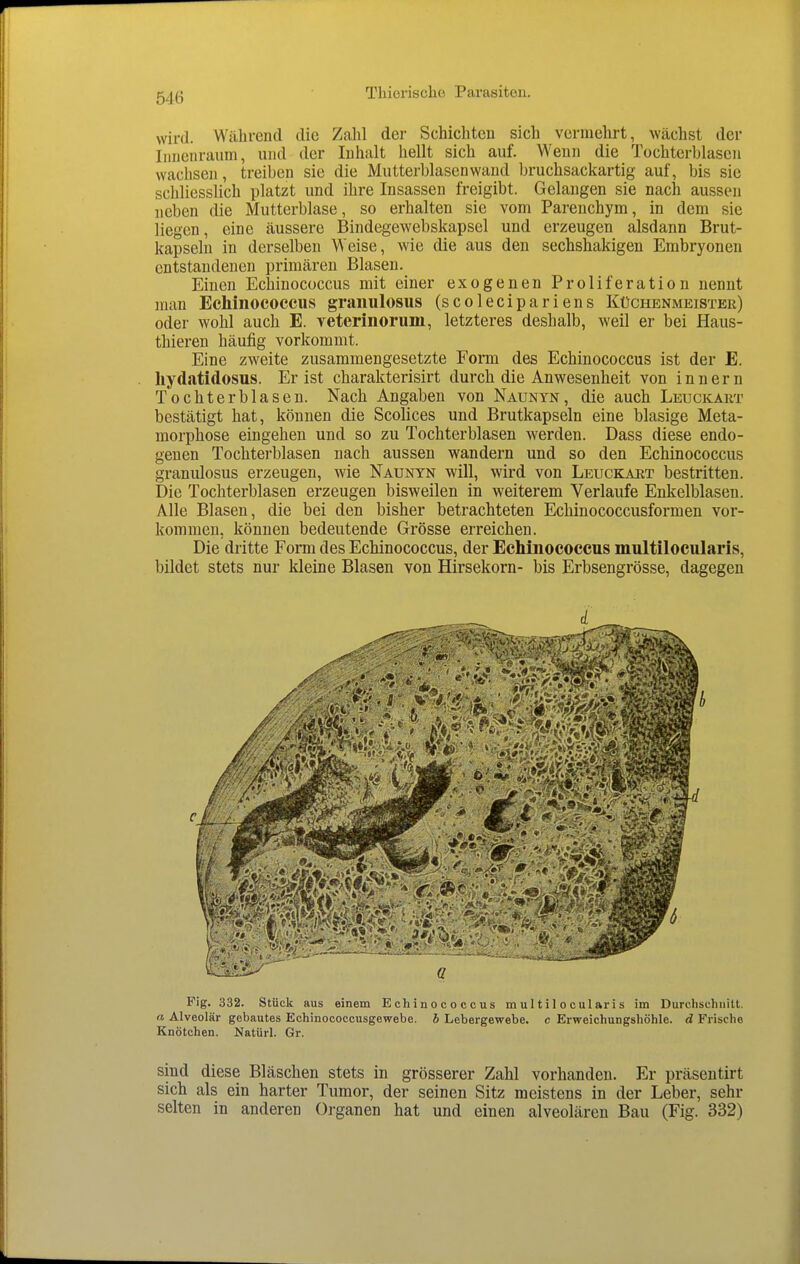 wird. Während die Zahl der Schichten sich vermehrt, wächst der Iiiuenraum, und der Inhalt hellt sich auf. Wenn die Tochterblasen wachsen, treiben sie die Mutterblasen wand bruchsackartig auf, bis sie schliesslich platzt und ihre Insassen freigibt. Gelangen sie nach aussen neben die Mutterblase, so erhalten sie vom Parenchym, in dem sie liegen, eine äussere Bindegewebskapsel und erzeugen alsdann Brut- kapseln in derselben Weise, wie die aus den sechshakigen Embryonen entstandenen primären Blasen. Einen Echinococcus mit einer exogenen Proliferation nennt man Echinococcus graiiulosus (scolecipariens KtJcHENMEiSTER) oder wohl auch E. veterinorum, letzteres deshalb, weil er bei Haus- thieren häufig vorkommt. Eine zweite zusammengesetzte Form des Echinococcus ist der E. hydatidosus. Er ist charakterisirt durch die Anwesenheit von Innern Tochterblasen. Nach Angaben von Naunyn, die auch Leuckart bestätigt hat, können die Scolices und Brutkapseln eine blasige Meta- morphose eingehen und so zu Tochterblasen werden. Dass diese endo- genen Tochterblasen nach aussen wandern und so den Echinococcus granulosus erzeugen, wie Naunyn will, wird von Leuckart bestritten. Die Tochterblasen erzeugen bisweilen in weiterem Verlaufe Enkelblasen. Alle Blasen, die bei den bisher betrachteten Echinococcusformen vor- kommen, können bedeutende Grösse erreichen. Die dritte Form des Echinococcus, der Echinococcus multilocularis, bildet stets nur kleine Blasen von Hirsekorn- bis Erbsengrösse, dagegen Fig. 332. Stück aus einem Echinococcus multilocularis im Durchschnitt. a Alveolär gebautes Echinococcusgewebe. b Lebergewebe, c Erweichungshöhle, d Frische Knötchen. Natürl. Gr. sind diese Bläschen stets in grösserer Zahl vorhanden. Er präsentirt sich als ein harter Tumor, der seinen Sitz meistens in der Leber, sehr selten in anderen Organen hat und einen alveolären Bau (Fig. 332)