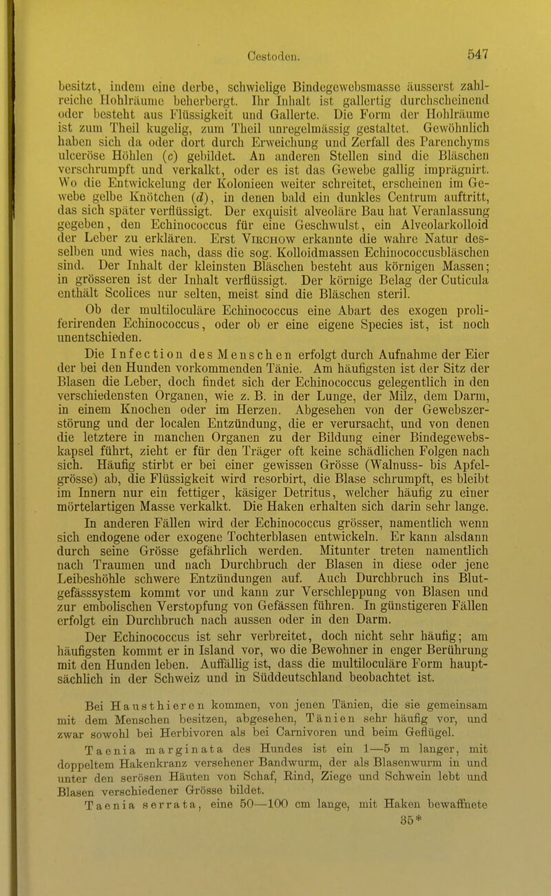 besitzt, indem eine derbe, sclnvielige Bindegewebsmasse äusserst zahl- reiche Hohlhiuriie beherbergt. Ihr Inhalt ist gallertig durchscheinend oder besteht aus Flüssigkeit und Gallerte. Die Form der Hohlräume ist zum Theil kugelig, zum Theil unregelmässig gestaltet. Gewöhnlich haben sich da oder dort durch Erweichung und Zerfall des Parenchyms ulceröse Höhlen (c) gebildet. Au anderen Stellen sind die Bläschen verschrumpft und verkalkt, oder es ist das Gewebe gallig imprägnirt. Wo die Entwickelung der Kolonieen weiter schreitet, erscheinen im Ge- webe gelbe Knötchen (tZ), in denen bald ein dunkles Centrum auftritt, das sich später verflüssigt. Der exquisit alveoläre Bau hat Veranlassung gegeben, den Echinococcus für eine Geschwulst, ein Alveolarkolloid der Leber zu erklären. Erst Virchow erkannte die wahre Natur des- selben und wies nach, dass die sog. Kolloidmassen Echinococcusbläschen sind. Der Inhalt der Ideinsten Bläschen besteht aus körnigen Massen; in grösseren ist der Inhalt verflüssigt. Der körnige Belag der Cuticula enthält Scolices nur selten, meist sind die Bläschen steril. Ob der multiloculäre Echinococcus eine Abart des exogen proli- ferirenden Echinococcus, oder ob er eine eigene Speeles ist, ist noch unentschieden. Die Infection des Menschen erfolgt durch Aufnahme der Eier der bei den Hunden vorkommenden Tänie. Am häufigsten ist der Sitz der Blasen die Leber, doch findet sich der Echinococcus gelegentlich in den verschiedensten Organen, wie z. B. in der Lunge, der Milz, dem Darm, in einem Knochen oder im Herzen. Abgesehen von der Gewebszer- störung und der localen Entzündung, die er verursacht, und von denen die letztere in manchen Organen zu der Bildung einer Bindegewebs- kapsel führt, zieht er für den Träger oft keine schädlichen Folgen nach sich. Häufig stirbt er bei einer gewissen Grösse (Walnuss- bis Apfel- grösse) ab, die Flüssigkeit wird resorbirt, die Blase schrumpft, es bleibt im Innern nur ein fettiger, käsiger Detritus, welcher häufig zu einer mörtelartigen Masse verkalkt. Die Haken erhalten sich darin sehr lange. In anderen Fällen wird der Echinococcus grösser, namentlich wenn sich endogene oder exogene Tochterblasen entwickeln. Er kann alsdann durch seine Grösse gefährlich werden. Mitunter treten namentlicli nach Traumen und nach Durchbruch der Blasen in diese oder jene Leibeshöhle schwere Entzündungen auf. Auch Durchbruch ins Blut- gefässsystem kommt vor und kann zur Verschleppung von Blasen und zur embolischen Verstopfung von Gefässen führen. In günstigeren Fällen erfolgt ein Durchbruch nach aussen oder in den Darm. Der Echinococcus ist sehr verbreitet, doch nicht sehr häufig; am häufigsten kommt er in Island vor, wo die Bewohner in enger Berührung mit den Hunden leben. Auffallig ist, dass die multiloculäre Form haupt- sächlich in der Schweiz und in Süddeutschland beobachtet ist. Bei Hausthieren kommen, von jenen Tänien, die sie gemeinsam mit dem Menschen besitzen, abgesehen, Tänien sehr häufig vor, und zwar sowohl bei Herbivoren als bei Carnivoren und beim Geflügel. Taenia marginata des Hundes ist ein 1—5 m langer, mit doppeltem Hakenkranz versehener Bandwurm, der als Blasenwurm in und unter den serösen Häuten von Schaf, Rind, Ziege und Schwein lebt und Blasen verschiedener Grösse bildet. Taenia serrata, eine 50—100 cm lange, mit Haken bewaffnete 35*