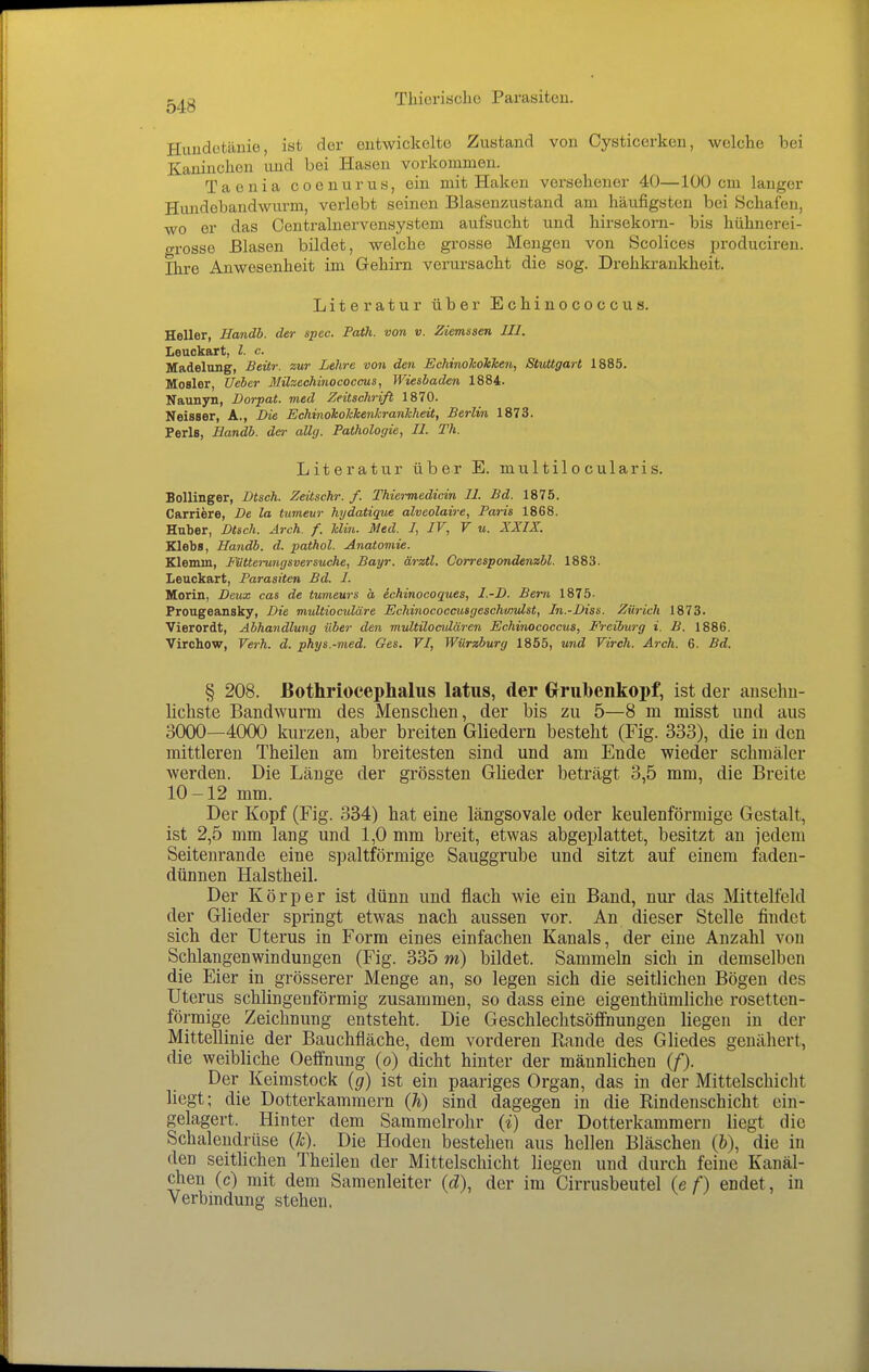 Huudütänio, ist der entwickelte Zustand von Cysticerken, welche bei Kaninchen und bei Hasen vorkommen. Taenia coenurus, ein mit Haken versehener 40—100 cm langer Hundebandwurm, verlobt seinen Blasenzustand am häufigsten bei »Schafen, wo er das Centrainervensystem aufsucht und hirsekorn- bis hühnerei- o-rosse Blasen bildet, welche grosse Mengen von Scolices produciren. Ihre Anwesenheit im Gehirn verursacht die sog. Drehkrankheit. Literatur über Echinococcus. Heller, Handb. der spec. Path. von v. Ziemssen III. Leuckart, l. c. Madelung, Beitr. zur Lehre von den EchinohoTcken, Stuttgart 1885. Mosler, lieber 3Iüzechinococcus, Wiesbaden 1884. Naunyn, Dorpat. med Zeitschrift 1870. Neisser, A., Die Echinoholckenkranhheit, Berlin 1873. Perls, Eandb. der allg. Pathologie, II. Th. Literatur über E. multilocularis. Bollinger, Btsch. Zeitschr. f. Thiermedicin II. Bd. 1875. Carriere, De la tumeur hydatique alveolaire, Paris 1868. Hnber, Dtsch. Arch. f. Min. Med. I, IV, V u. XXIX. Kleba, Handb. d. pathol. Anatomie. Klemm, Fütterungsversuche, Bayr. ärztl. Correspondenzhl. 1883. Leuckart, Parasiten Bd. I. Morin, Deux cas de tumeurs ä ichinocoques, I.-D. Bern 1875- Prougeansky, Die multioculäre Echinococcusgeschuiidst, In.-Diss. Zürich 1873. Vierordt, Abhandlung über den multilocidären Echinococcus, Freiburg i. B. 1886. Virchow, Verh. d. phys.-med. Ges. VI, Würzburg 1855, und Virch. Arch. 6. Bd. § 208. ßothrioceplialus latus, der GrruTbenkopf, ist der ausehu- lichste Bandwurm des Menschen, der bis zu 5—8 m misst und aus 3000—4000 kurzen, aber breiten Gliedern besteht (Fig. 333), die in den mittleren Theilen am breitesten sind und am Ende wieder schmäler werden. Die Länge der grössten Glieder beträgt 3,5 mm, die Breite 10-12 mm. Der Kopf (Fig. 334) hat eine längsovale oder keulenförmige Gestalt, ist 2,5 mm lang und 1,0 mm breit, etwas abgeplattet, besitzt au jedem Seitenrande eine spaltförmige Sauggrube und sitzt auf einem faden- dünnen Halstheil. Der Körper ist dünn und flach wie ein Band, nur das Mittelfeld der Glieder springt etwas nach aussen vor. An dieser Stelle findet sich der Uterus in Form eines einfachen Kanals, der eine Anzahl von Schlangenwindungen (Fig. 335 m) bildet. Sammeln sich in demselben die Eier in grösserer Menge an, so legen sich die seitlichen Bögen des Uterus schlingenförmig zusammen, so dass eine eigenthümliche rosetten- förmige Zeichnung entsteht. Die Geschlechtsöffnungen liegen in der Mittellinie der Bauchfläche, dem vorderen Rande des Gliedes genähert, die weibliche Oeffnung (o) dicht hinter der männlichen (/). Der Keimstock {g) ist ein paariges Organ, das in der Mittelschicht liegt; die Dotterkammern {h) sind dagegen in die Rindenschicht ein- gelagert. Hinter dem Saramelrohr {i) der Dotterkammern liegt die Schalendrüse (/c). Die Hoden bestehen aus hellen Bläschen (fe), die in den seitlichen Theilen der Mittelschicht liegen und durch feine Kanäl- chen (c) mit dem Samenleiter {d), der im Cirrusbeutel {e f) endet, in Verbindung stehen,
