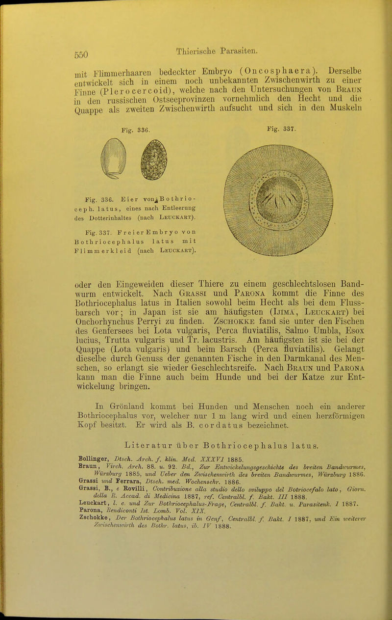 mit Flimmerliaareü bedeckter Embryo (Oncosphaera). Derselbe entwickelt sich in einem noch unbekannten Zwischenwirth zu einer Finne (Plero cercoid), welche nach den Untersuchungen von Braun in den russischen Ostseeprovinzen vornehmlich den Hecht und die Quappe als zweiten Zwischenwirth aufsucht und sich in den Muskeln Fig. 336. Fig. 337. Fig. 336. Eier vonj|B o thrio- ceph. latus, eines nach Entleerung lies Dotterinhaltes (nach Leuckakt). Fig. 337. F rei er E mbr y o VC n Bothriocephalus latus mit Flimmer kleid (nach Leückart). oder den Eingeweiden dieser Thiere zu einem geschlechtslosen Band- wurm entwickelt. Nach Grassi und Parona kommt die Finne des Bothriocephalus latus in Italien sowohl beim Hecht als bei dem Fluss- barsch vor; in Japan ist sie am häufigsten (Ijima, Leuckart) bei Onchorhynchus Perryi zu finden. Zschokke fand sie unter den Fischen des Genfersees bei Lota vulgaris, Perca fluviatilis, Salmo Umbla, Esox lucius, Trutta vulgaris und Tr. lacustris. Am häufigsten ist sie bei der Quappe (Lota vulgaris) und beim Barsch (Perca fluviatilis). Gelangt dieselbe durch Genuss der genannten Fische in den Darmkanal des Men- schen, so erlangt sie vi^ieder Geschlechtsreife. Nach Braun und Parona kann man die Finne auch beim Hunde und bei der Katze zur Eut- wickelung bringen. In Grönland kommt bei Hunden und Menschen noch ein anderer Bothriocephalus vor, welcher nur 1 m lang wird und einen herzförmigen Kopf besitzt. Er wird als B. c o r d a t u s bezeichnet. Literatur über Bothriocephalus latus. Bollinger, Dtsch. Arch. f. Min. Med. XXXVl 1885. Braun, Virch. Arch. 88. u. 92. Bd., Zur EnhuickelungsgeschichU des breiten Bandmmnes, Würzburg 1885, und lieber den Zwischenwirth des breiten Bandwiirmes, Würzburg 1886. Grassi und Ferrara, Dtsch. med. Wochenschr. 1886. Grassi, B., e Rovilli, Contribuzione alla studio dello sviluppo del BotriocefaLo lato, Qiorn. della K. Accad. di Medicina 1887, ref. Centralbl. f. Bakt. III 1888. Leuckart, l. c. und Zur Bothriocephalus-Frage, Centralbl. f. Bakt. u. Parasitenk. I 1887. Parona, Eendiconti Ist. Lomb. Vol. XIX. Zschokke, Der Bothriocephalus latus in Genf, Centralbl. f. Bakt. I 1887, und Ein weiterer Zwischenwirth des ßothr. latus, ib. IV 1888.