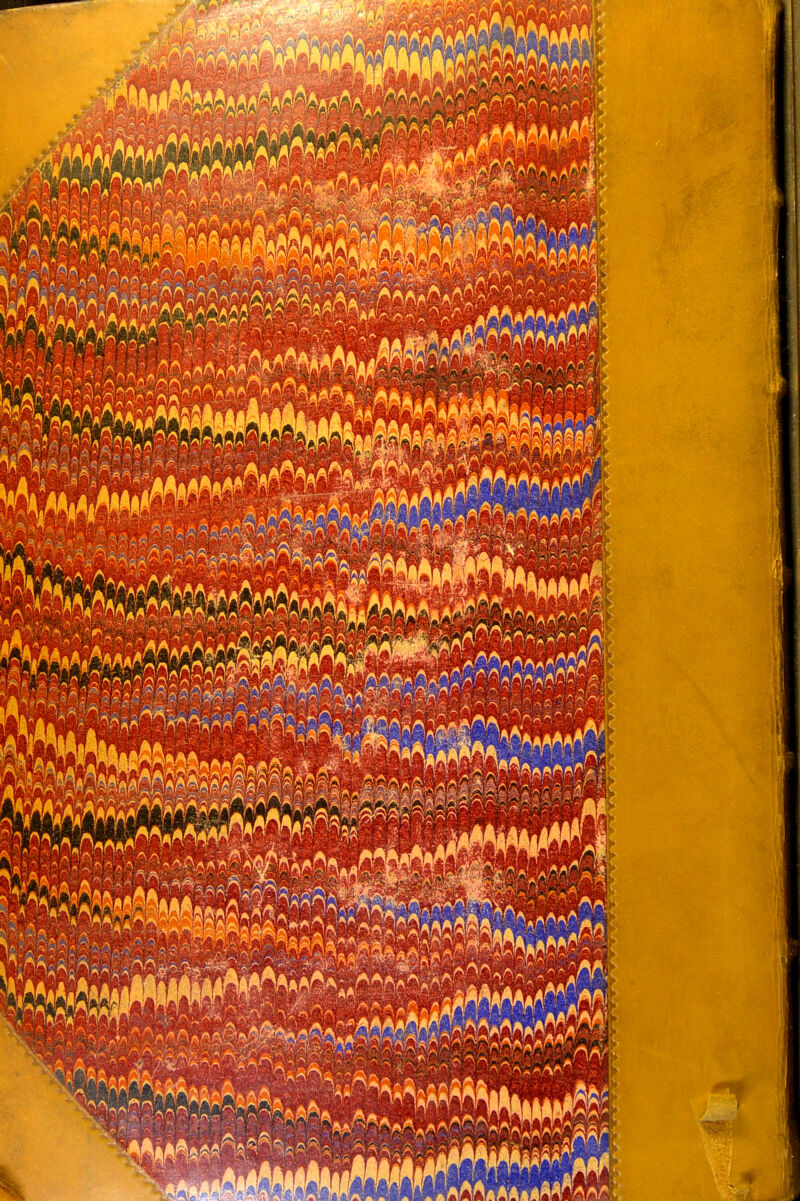 No text description is available for this image