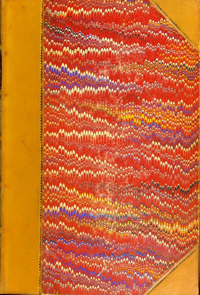 No text description is available for this image