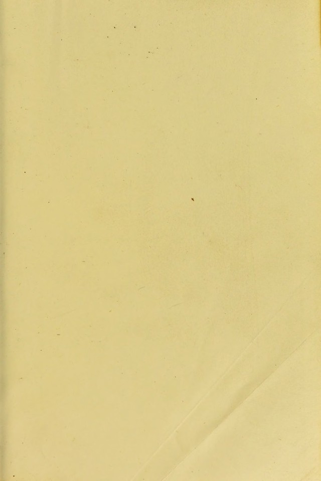 digitised image 3
