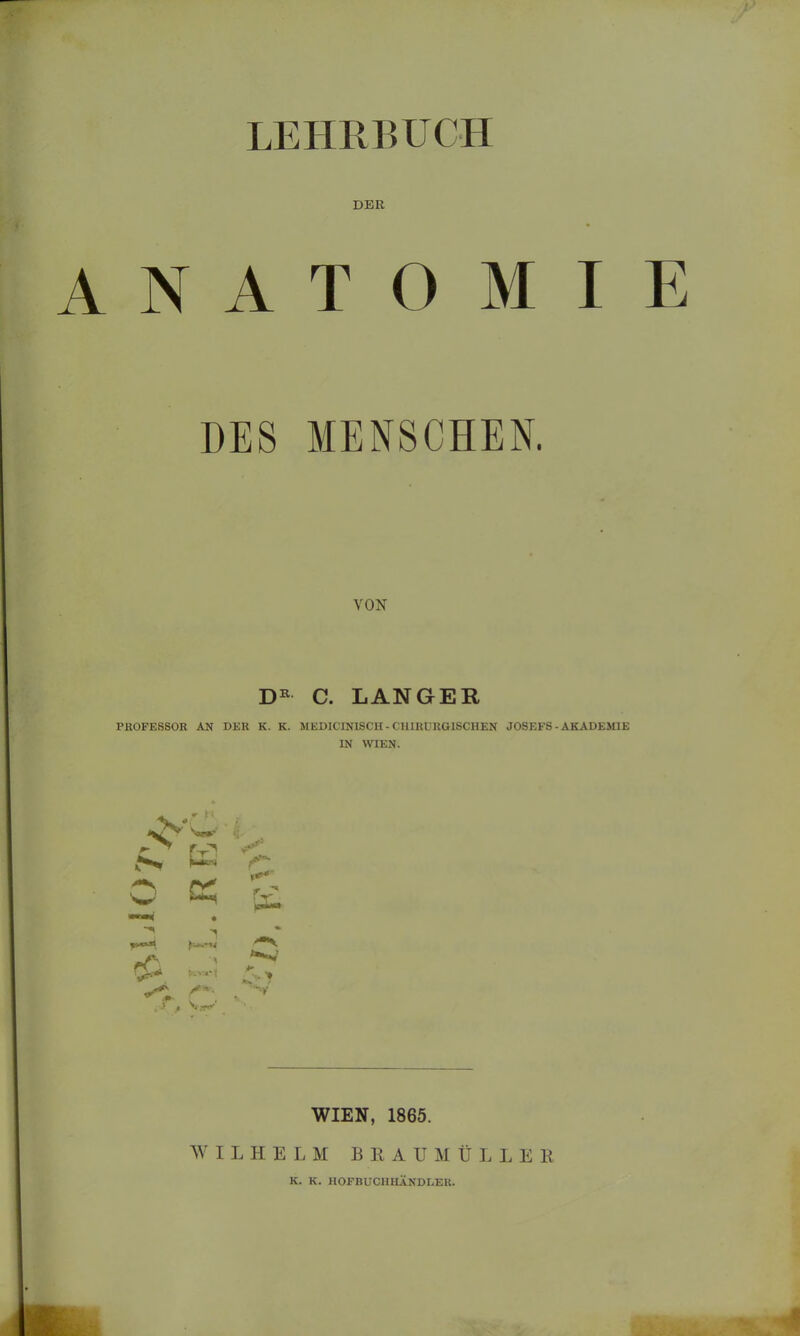 LEHRBUCH DER N A T O M I DES MENSCHEN. VON DR C. LANGER PROFESSOR AN DER K. K. MEDICINISCH- CHIRURGISCHEN JOSEFS - AKADEMIE IN WIEN. > V r-. jr -* W mcm* • \£m W«K99 >* teva* j i* / /#*: Vs*'1 “V WIEN, 1865. WILHELM BRAUMÜLLER K. K. HOFBUCHHÄNDLER.