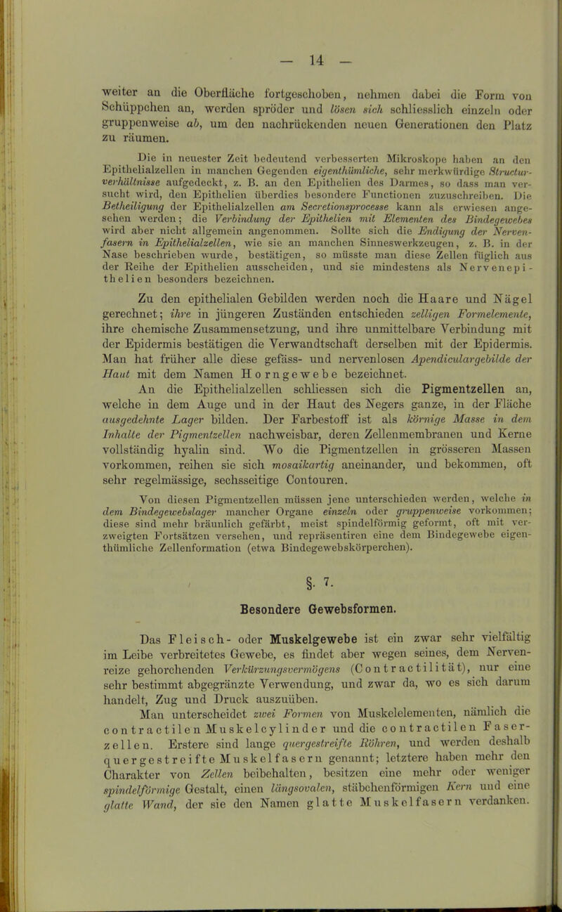 weiter au die OberHäche fortgeschoben, nehmen dabei die Form von Schüppchen an, werden spröder und lösen sich schliesslich einzeln oder gruppenweise ab, um den nachrückenden neuen Generationen den Platz zu räumen. Die in neuester Zeit bedeutend verbesserten Mikroskope haben an den Epithelialzellen in manchen Gegenden eigentümliche, sehr merkwürdige Structur- verhältnisse aufgedeckt, z. B. an den Epithelien des Darmes, so dass man ver- sucht wird, den Epithelien überdies besondere Functionen zuzuschreiben. Die Betheiligung der Epithelialzellen am Secretionsprocesse kann als erwiesen ange- sehen werden; die Verbindung der Epithelien mit Elementen des Bindegewebes wird aber nicht allgemein angenommen. Sollte sich die Endigung der Nerven- fasern in Epithelialzellen, wie sie an manchen Sinneswerkzeugen, z. B. in der Nase beschrieben wurde, bestätigen, so müsste man diese Zellen füglich aus der Keihe der Epithelien ausscheiden, und sie mindestens als Nervenepi- t h e 1 i e n besonders bezeichnen. Zu den epithelialen Gebilden werden noch die Haare und Nägel gerechnet; ihre in jüngeren Zuständen entschieden zellicjen Formelemente, ihre chemische Zusammensetzung, und ihre unmittelbare Verbindung mit der Epidermis bestätigen die Verwandtschaft derselben mit der Epidermis. Man hat früher alle diese gefäss- und nervenlosen Apendiculargebilde der Haut mit dem Namen Horngewebe bezeichnet. An die Epithelialzellen schliessen sich die Pigmentzellen an, welche in dem Auge und in der Haut des Negers ganze, in der Fläche ausgedehnte Lager bilden. Her Farbestoff ist als körnige Masse in dem Inhalte der Pigmentzellen nachweisbar, deren Zellenmembranen und Kerne vollständig hyalin sind. Wo die Pigmentzellen in grösseren Massen Vorkommen, reihen sie sich mosaikartig aneinander, und bekommen, oft sehr regelmässige, sechsseitige Contouren. Von diesen Pigmentzellen müssen jene unterschieden werden, welche in dem Bindegewebslager mancher Organe einzeln oder gruppenweise Vorkommen; diese sind mehr bräunlich gefärbt, meist spindelförmig geformt, oft mit ver- zweigten Fortsätzen versehen, und repräsentiren eine dem Bindegewebe eigen- thümlicke Zellenfonnation (etwa Bindegewebskörperchen). §• 7- Besondere Gewebsformen. Das Fleisch- oder Muskelgewebe ist ein zwar sehr vielfältig im Leibe verbreitetes Gewebe, es findet aber wegen seines, dem Nerven- reize gehorchenden Verlcürzungsvermögens (Contractilität), nur eine sehr bestimmt abgegränzte Verwendung, und zwar da, wo es sich darum handelt, Zug und Druck auszuüben. Man unterscheidet zwei Formen von Muskelelementen, nämlich die contractilen Muskelcylinder und die contractilen Faser- zellen. Erstere sind lange quergestreifte Röhren, und werden deshalb quergestreifte Muskelfasern genannt; letztere haben mehr den Charakter von Zellen beibehalten, besitzen eine mehr oder weniger spindelförmige Gestalt, einen längsovalen, stäbchenförmigen Kern und eine glatte Wand, der sie den Namen glatte Muskelfasern verdanken.