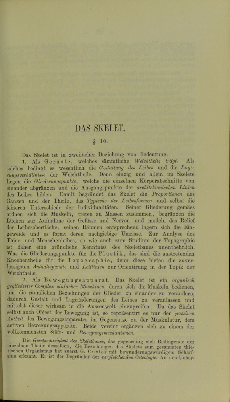 DAS SKELET. §. 10. Das Skelet ist in zweifacher Beziehung von Bedeutung. 1. Als Gerüste, welches sämmtliche Weichtheile trägt. Als solches bedingt es wesentlich die Gestaltung des Leibes und die Lage- rungsverhältnisse der Weichtheile. Denn einzig und allein im Skelete liegen die Gliederungspunkte, welche die einzelnen Körperabschnitte von einander abgränzen und die Ausgangspunkte der architektonischen Linien des Leibes bilden. Damit begründet das Skelet die Proportionen des Ganzen und der Theile, das Typische der Leibesformen und selbst die feineren Unterschiede der Individualitäten. Seiner Gliederung gemäss ordnen sich die Muskeln, treten zu Massen zusammen, begränzen die Lücken zur Aufnahme der Gefässe und Nerven und modeln das Relief der Leibesoberfläche; seinen Räumen entsprechend lagern sich die Ein- geweide und es formt deren nachgiebige Umrisse. Zur Analyse des Thier- und Menschenleibes, so wie auch zum Studium der Topographie ist daher eine gründliche Kenntniss des Skeletbaues unentbehrlich. Was die Gliederungspunkte für die Plastik, das sind die austretenden Knochen theile für die Topographie, denn diese bieten die zuver- lässigsten Antlialtspunkte und Leitlinien zur Orientirung in der Topik der W eich theile. 2. Als Bewegungsapparat. Das Skelet ist ein organisch gegliederter Complex einfacher Maschinen, deren sich die Muskeln bedienen, um die räumlichen Beziehungen der Glieder zu einander zu verändern, dadurch Gestalt und Lageänderungen des Leibes zu veranlassen und mittelst dieser wirksam in die Aussenwelt einzugreifen. Da das Skelet selbst auch Object der Bewegung ist, so repräsentirt es nur den passiven Antheil des Beweguugsapparates im Gegensätze zu der Muskulatur, dem aetiven Bewegungsapparate. Beide vereint ergänzen sich zu einem der vollkommensten Stütz- und Bewegungsmechanismen. Die Gesetzmässigkeit des Slceletbaues, das gegenseitig sich Bedingende der einzelnen 1 heile desselben, die Beziehungen des Skelets zum gesaminten tliie- rischen Organismus hat zuerst G. Cu vier mit bewunderungswürdigem Scharf- sinn erkannt. Er ist der Begründer der vergleichenden Osteologie. An den Ueber-