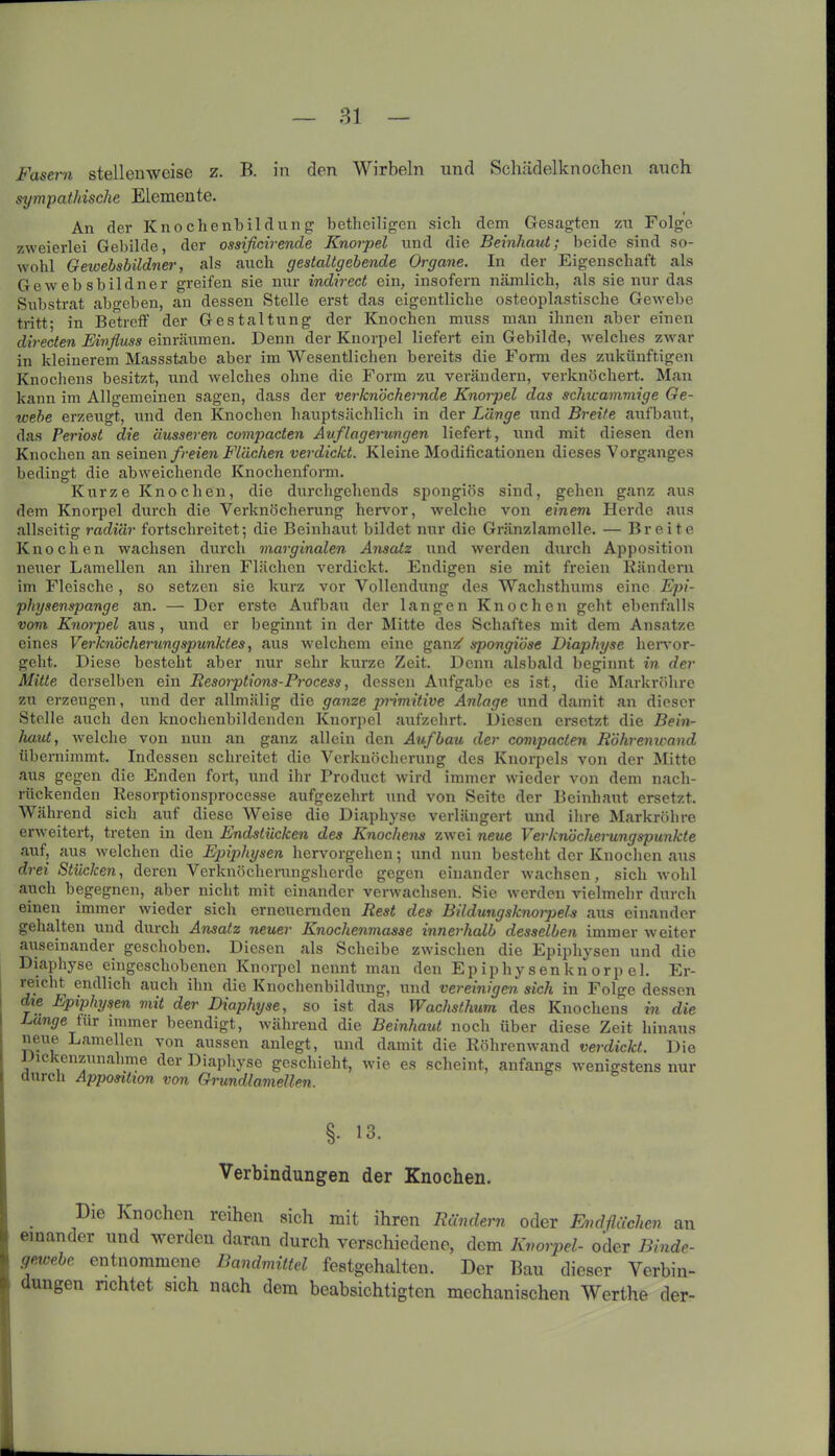 Fasern stellenweise z. B. in den Wirbeln und Schädelknochen auch sympathische Elemente. An der Knochenbildung betheiligen sich dem Gesagten zu Folge zweierlei Gebilde, der ossificirende Knorpel und die Beinhaut; beide sind so- wohl Geioehsbildner, als auch gestaltgebende Organe. In der Eigenschaft als Ge web sbildner greifen sie nur indirect ein, insofern nämlich, als sie nur das Substrat abgeben, an dessen Stelle erst das eigentliche osteoplastische Gewebe tritt; in Betreff der Gestaltung der Knochen muss man ihnen aber einen directen Einfluss einräumen. Denn der Knorpel liefert ein Gebilde, welches zwar in kleinerem Massstabe aber im Wesentlichen bereits die Form des zukünftigen Knochens besitzt, und welches ohne die Form zu verändern, verknöchert. Man kann im Allgemeinen sagen, dass der verknöchernde Knoipel das schwammige Ge- webe erzeugt, und den Knochen hauptsächlich in der Länge und Breite aufbaut, das Periost die äusseren compacten Auflagerungen liefert, und mit diesen den Knochen an seinen freien Flächen verdickt. Kleine Modificationen dieses Vorganges bedingt die abweichende Knochenform. Kurze Knochen, die durchgehends spongiös sind, gehen ganz aus dem Knorpel durch die Verknöcherung hervor, welche von einem Herde aus allseitig radiär fortschreitet; die Beinhaut bildet nur die Gränzlamelle. — Breite Knochen wachsen durch marginalen Ansatz und werden durch Apposition neuer Lamellen an ihren Flächen verdickt. Endigen sie mit freien Rändern im Fleische, so setzen sie kurz vor Vollendung des Wachsthums eine Epi- physenspange an. — Der erste Aufbau der langen Knochen geht ebenfalls vom Knorpel aus , und er beginnt in der Mitte des Schaftes mit dem Ansätze eines Verknöcherungspunktes, aus welchem eine ganz' spongiöse Diaphyse hervor- geht. Diese besteht aber nur sehr kurze Zeit. Denn alsbald beginnt in der Mitte derselben ein Resoiptions-Process, dessen Aufgabe es ist, die Markröhre zu erzeugen, und der allmälig die ganze jmmitive Anlage und damit an dieser Stelle auch den knochcnbildenden Knorpel aufzehrt. Diesen ersetzt die Bein- haut, welche von nun an ganz allein den Aufbau der compacten Röhrenwand übernimmt. Indessen schreitet die Verknöcherung des Knorpels von der Mitte aus gegen die Enden fort, und ihr Product wird immer wieder von dem nach- rückenden Eesorptionsprocesse aufgezehrt und von Seite der Beinhaut ersetzt. Während sich auf diese Weise die Diaphyse verlängert und ihre Markröhre erweitert, treten in den Endstücken des Knochens zwei neue VerJcnücherungspunkte auf, aus welchen die Ejnphysen hervorgehen; und nun besteht der Knochen aus drei Stücken, deren Verknöcherungsherde gegen einander wachsen, sich wohl auch begegnen, aber nicht mit einander verwachsen. Sie werden vielmehr durch einen immer wieder sich erneuernden Rest des Bildungslcnoipels aus einander gehalten und durch Ansatz neuer Knochenmasse innerhalb desselben immer weiter auseinander geschoben. Diesen als Scheibe zwischen die Epiphysen und die Diaphyse eingeschobenen Knorpel nennt man den Epiphysenknorpel. Er- 1 eicht endlich auch ihn die Knochenbildung, und vereinigen, sich in Folge dessen die Epiphysen mit der Diaphyse, so ist das Wachsthum des Knochens in die Länge für immer beendigt, während die Beinhaut noch über diese Zeit hinaus neue Lamellen von aussen anlegt, und damit die Röhrenwand verdickt. Die i lekenzunahme der Diaphyse geschieht, wie es scheint, anfangs wenigstens nur durch Apposition von GnmcUamellen. §• 13. Verbindungen der Knochen. Die Knochen reihen sich mit ihren Rändern oder Endflächen an einander und werden daran durch verschiedene, dem Knorpel- oder Binde- gewebe entnommene Bandmittel festgehalten. Der Bau dieser Verbin- dungen richtet sich nach dem beabsichtigten mechanischen Werthe der-