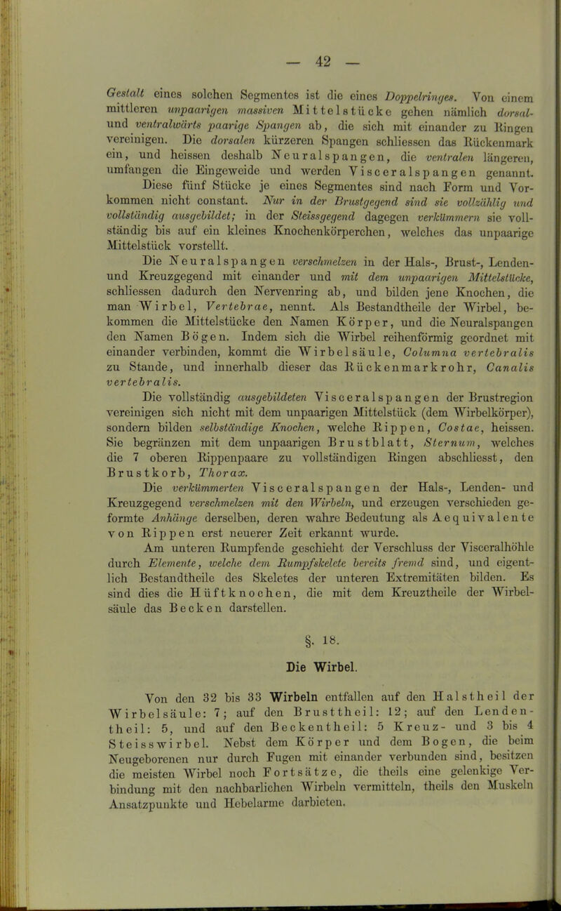 Gestalt eines solchen Segmentes ist die eines Doppelringes. Von einem mittleren unpaarigen massiven Mittelstiicke gehen nämlich dorsal- und ventralwärts paarige Spangen ab, die sich mit einander zu Hingen vereinigen. Die dorsalen kürzeren Spangen schliessen das Rückenmark ein, und heissen deshalb Neuralspangen, die ventralen längeren, umfangen die Eingeweide und werden Visceralspangen genannt. Diese fünf Stücke je eines Segmentes sind nach Form und Vor- kommen nicht constant. Nur in der Brustgegend sind sie vollzählig und vollständig aus gebildetin der Steissgegend dagegen verkümmern sie voll- ständig bis auf ein kleines Knochenkörperchen, welches das unpaarige Mittelstück vorstellt. Die Neuralspangen verschmelzen in der Hals-, Brust-, Lenden- und Kreuzgegend mit einander und mit dem unpaarigen Mittelstücke, schliessen dadurch den Nervenring ab, und bilden jene Knochen, die man Wirbel, Vertebrae, nennt. Als Bestandtheile der Wirbel, be- kommen die Mittelstücke den Namen Körper, und die Neuralspangcn den Namen Bögen. Indem sich die Wirbel reihenförmig geordnet mit einander verbinden, kommt die Wirbelsäule, Columna verlebralis zu Stande, und innerhalb dieser das Rückenmarkrohr, Canalis vertebralis. Die vollständig ausgebildeten Visceralspangen der Brustregion vereinigen sich nicht mit dem unpaarigen Mittelstück (dem Wirbelkörper), sondern bilden selbständige Knochen, welche Rippen, Costae, heissen. Sie begränzen mit dem unpaarigen Brustblatt, Sternum, welches die 7 oberen Rippenpaare zu vollständigen Ringen abschliesst, den Brustkorb, Thorax. Die verkümmerten Visceralspangen der Hals-, Lenden- und Kreuzgegend verschmelzen mit den Wirbeln, und erzeugen verschieden ge- formte Anhänge derselben, deren wahre Bedeutung als Aequivalente von Rippen erst neuerer Zeit erkannt wurde. Am unteren Rumpfende geschieht der Verschluss der Visceralhöhle durch Elemente, welche dem Rumpfskelcte bereits fremd sind, und eigent- lich Bestandtheile des Skeletes der unteren Extremitäten bilden. Es sind dies die Hüftknochen, die mit dem Kreuztheile der Wirbel- säule das Becken darstellen. §. 18. Die Wirbel. Von den 32 bis 33 Wirbeln entfallen auf den H aistheil der Wirbelsäule: 7; auf den Brusttheil: 12; auf den Lenden- theil: 5, und auf den Beckentheil: 5 Kreuz- und 3 bis 4 Steisswirbel. Nebst dem Körper und dem Bogen, die beim Neugeborenen nur durch Fugen mit einander verbunden sind, besitzen die meisten Wirbel noch Fortsätze, die theils eine gelenkige Ver- bindung mit den nachbarlichen Wirbeln vermitteln, theils den Muskeln Ansatzpunkte und Hebelarme darbieten.