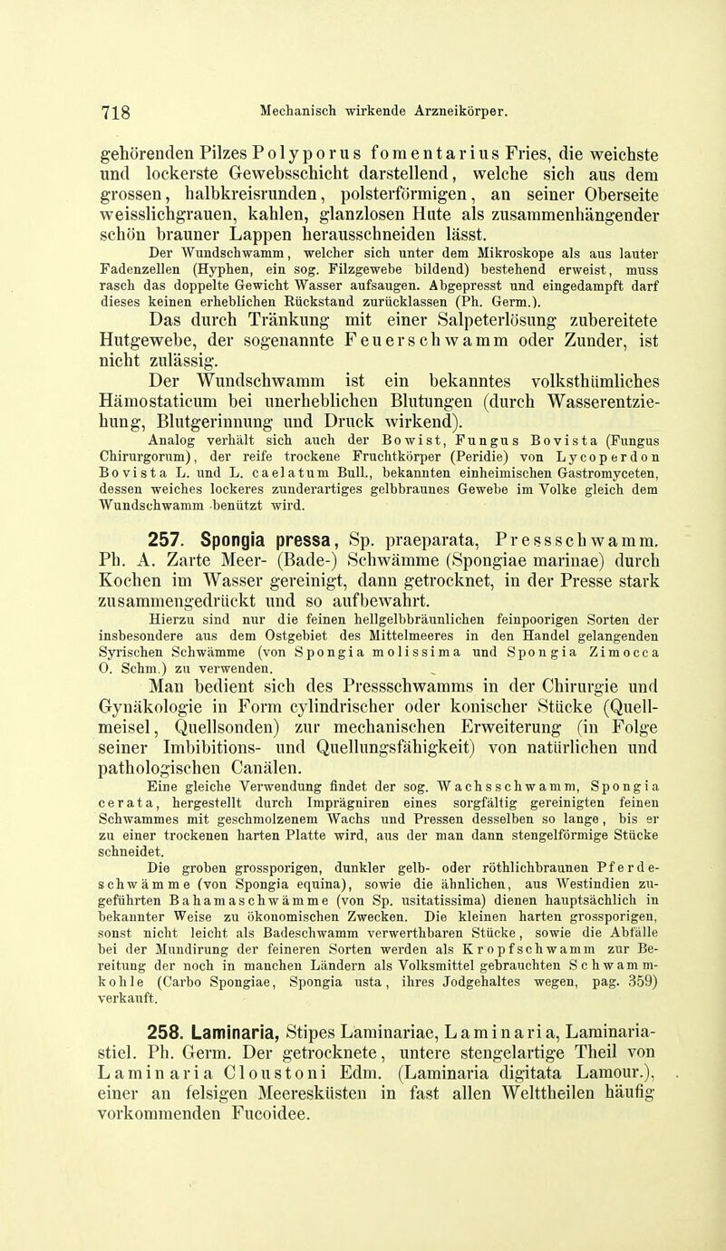 gehorenden Pilzes Polyporus foraentarius Fries, die weichste und lockerste Gewebsschicht darstellend, welche sich aus dem grossen, halbkreisrunden, polsterformigen, an seiner Oberseite weisslichgrauen, kahlen, glanzlosen Hate als zusaramenhangender schon brauner Lappen berausschneiden lasst. Der Wundschwamm, welclier sich unter dem Mikroskope als aus lauter Fadenzellen (Hyphen, ein sog. Filzgewebe bildend) bestehend erweist, muss rasch das doppelte Gewicht Wasser aufsaugen. Abgepresst und eingedampft darf dieses keinen erheblichen Eiickstand zurucklassen (Ph. Germ.). Das durch Trankung mit einer Salpeterlosung zubereitete Hutgewebe, der sogenannte Feuerschwamm oder Zunder, ist nicht zulassig. Der Wundscbwamm ist ein bekanntes volksthiimliches Hamostatieum bei unerbeblichen Blutungen (durcb Wasserentzie- hung, Blutgerinnung und Druck wirkend). Analog verhalt sich auch der Bowist, Fungus Bovista (Fungus Chirurgorum), der reife trockene Fruchtkorper (Peridie) von Lycoperdon Bovista L. und L. caelatum Bull., bekannten einheimischen Gastromyceten, dessen weiches lockeres zunderartiges gelbbraunes Gewebe im Volke gleich dem Wundschwamm beniitzt wird. 257. Spongia pressa, Sp. praeparata, Pressscbwamm, Ph. A. Zarte Meer- (Bade-) Scbwamme (Spongiae marinae) durch Kochen im Wasser gereinigt, dann getrocknet, in der Presse stark zusammengedriickt und so aufbewahrt. Hierzu sind nur die feinen hellgelbbraunlichen feinpoorigen Sorten der insbesondere aus dem Ostgebiet des Mittelmeeres in den Handel gelangenden Syrischen Schwamme (von Spongia molissima und Spongia Zimocca 0. Schm.) zu verwenden. Man bedient sich des Pressschwamms in der Chirurgie und Gynakologie in Form cylindrischer oder konischer Stiicke (Quell- meisel, Quellsonden) zur mechanischen Erweiterung (in Folge seiner Imbibitions- und QueUungsfahigkeit) von natiirlichen und pathologischen Canalen. Eine gleiche Verwendung findet der sog. Wachsschwamm, Spongia c e r a t a, hergestellt durch Impragniren eines sorgfaltig gereinigten feinen Schwammes mit geschmolzenem Wachs und Pressen desselben so lange, bis sr zu einer trockenen harten Platte wird, aus der man dann stengelformige Stiicke schneidet. Die groben grossporigen, dunkler gelb- oder rothlichbraunen Pferde- schwamme (von Spongia equina), sowie die ahnlichen, aus Westindien zu- gefiihrten Bahamaschwamme (von Sp. usitatissima) dienen hauptsachlicli in bekaunter Weise zu okonomischen Zwecken. Die kleinen harten grossporigen, sonst nicht leicht als Badeschwamm verwerthbaren Stiicke, sowie die Abfalle bei der Mundirung der feineren Sorten wei'den als Kropfschwamm zur Be- reitung der noch in manchen Landern als Volksmittel gebrauchten Schwamm- kohle (Carbo Spongiae, Spongia usta, ihres Jodgehaltes wegen, pag. 359) verkauft. 258. Laminaria, Stipes Laminai-iae, Laminaria, Laminaria- stiel. Ph. Germ. Der getrocknete, untere stengelartige Theil von Laminaria Cloustoni Edm. (Laminaria digitata Lamour.), einer an felsigen Meereskiisten in fast alien Welttheilen haufig vorkommenden Fucoidee.