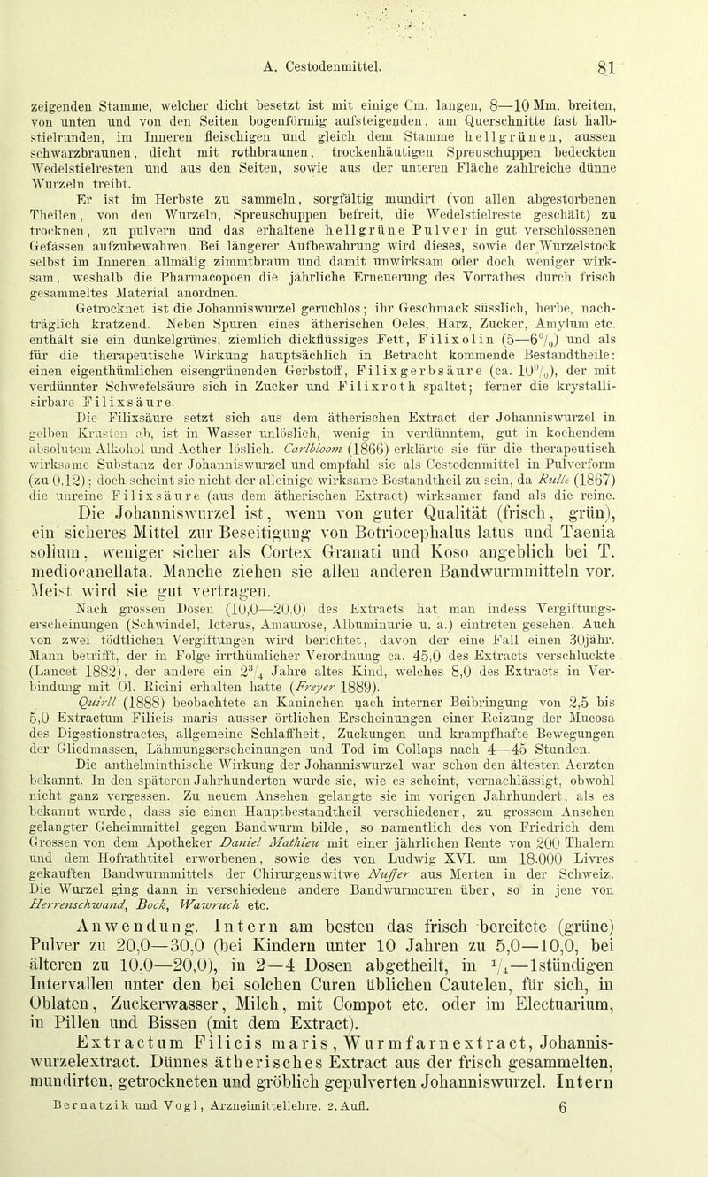 zeigenden Stamme, welclier dicht besetzt ist mit einige Cm. langen, 8—10 Mm. breiten, von unten und von den Seiten bogenförmig aufsteigeuden, am Querschnitte fast halb- stielrunden, im Inneren fleischigen und gleich dem Stamme hellgrünen, aussen schwarzbraunen, dicht mit rothbraunen, trockenhäutigen Spreu schuppen bedeckten Wedelstielresten und aus den Seiten, sowie aus der unteren Fläche zahlreiche dünne Wurzeln treibt. Er ist im Herbste zu sammeln, sorgfältig mundirt (von allen abgestorbenen Theilen, von den Wurzeln, Spreuschuppen befreit, die Wedelstielreste geschält) zu trocknen, zu pulvern und das erhaltene hellgrüne Pulver in gut verschlossenen Gefässen aufzubewahren. Bei längerer Autbewahrung wird dieses, sowie der Wurzelstock selbst im Inneren allmälig zimmtbraun und damit unwirksam oder doch weniger wirk- sam, weshalb die Phamiacopöen die jährliche Erneuerung des Vorrathes durch frisch gesammeltes Material anordnen. Getrocknet ist die Johanniswurzel geruchlos; ilu’ Geschmack süsslich, herbe, nach- träglich kratzend. Neben Spuren eines ätherischen Oeles, Harz, Zucker, Amylum etc. enthält sie ein dunkelgrünes, ziemlich dickflüssiges Fett, Filixolin (5—6“/o) ^md als für die therapeutische Wirkung hauptsächlich in Betracht kommende Bestandtheile: einen eigenthünüichen eisengrünenden Gerbstoif, Filixgerbsäure (ca. 10“/o), der mit verdünnter Schwefelsäure sich in Zucker und Filixroth spaltet; ferner die krystalli- sirbare Filixsäure. Die Filixsäure setzt sich aus dem ätherischen Extract der Johannismirzel in gelben Krusten ab, ist in AVasser unlöslich, wenig in verdünntem, gut in kochendem absohitem Alkohol und Aether löslich. Carlblooni (I860) erklärte sie für die therapeutisch wirksame Substanz der Johanniswui'zel und empfahl sie als Cestodenmittel in Pulverform (zu ttl2); doch scheint sie nicht der alleinige wirksame Bestandtheil zu sein, da Rullt (1867) die unreine Filixsäure (aus dem ätherischen Extract) wirksamer fand als die reine. Die Johanniswnrzel ist, wenn von guter Qualität (frisch, grün), ein sicheres Mittel zur Beseitigung von Botriocephalus latus und Taenia solhun, weniger sicher als Cortex Granati und Koso angeblich bei T. niediocanellata. Mönche ziehen sie allen anderen Bandwurnnnitteln vor. Meist wird sie gut vertragen. Nach grossen Dosen (1(J,0—20,0) des Extracts hat man indess Vergiftungs- erscheinuiigen (Schwindel, Icterus, Amaurose, Albuminurie u. a.) eintreten gesehen. Auch von zwei tödtlichen Vergiftungen wird berichtet, davon der eine Fall einen 30jähi'. Mann betritft, der in Folge irrthümlicher Verordnung ca. 45,0 des Extracts verschluckte (Lancet 1882), der andere ein 2^.4 Jahre altes Kind, welches 8,0 des Extracts in Ver- bindung mit Ol. Ricini erhalten hatte {Freyer 1889). Quh'll (1888) beobachtete an Kaninchen nach interner Beibringung von 2,5 bis 5,0 Extractum Filicis maris ausser örtlichen Erscheinungen einer Reizung der Mucosa des Digestionstractes, allgemeine Schlaffheit, Zuckungen und krampfhafte Bewegungen der Gliedmassen, Lähmungserscheinungen und Tod im Collaps nach 4—45 Stunden. Die anthelminthische AVirkung der Johannis Wurzel war schon den ältesten Aerzten bekannt. In den späteren Jahrhunderten wurde sie, wie es scheint, vernachlässigt, obwohl nicht ganz vergessen. Zu neuem Ansehen gelangte sie im vorigen Jahrhundert, als es bekannt wurde, dass sie einen Hauptbestandtheil verschiedener, zu grossem Ansehen gelangter Geheimmittel gegen Bandwurm bilde, so namentlich des von Friedrich dem Grossen von dem Apotheker Daniel Mathieu mit einer jährlichen Rente von 200 Thalern und dem Hofrathtitel erworbenen, sowie des von Ludwig XVI. um 18.000 Livres gekauften Bandwurmmittels der Chirurgenswitwe Nuffer aus Merten in der Schweiz. Die AVurzel ging dann in verschiedene andere Bandwurmeuren über, so in jene von Herrenschwand^ Bock, Wawriich etc. Anwendung’, Intern am besten das frisch bereitete (grüne) Pulver zu 20,0—30,0 (bei Kindern unter 10 Jahren zu 5,0—10,0, bei älteren zu 10,0—20,0), in 2—4 Dosen abgetheilt, in 1/4—Istündigen Intervallen unter den bei solchen Curen üblichen Cautelen, für sich, in Oblaten, Zuckerwasser, Milch, mit Compot etc. oder im Electuarium, in Pillen und Bissen (mit dem Extract). Extractum Filicis m a r i s , W u r m f a r n e x t r a c t, Johannis- wurzelextract. Dünnes ätherisches Extract aus der frisch gesammelten, mundirten, getrockneten und gröblich gepulverten Johanniswurzel. Intern