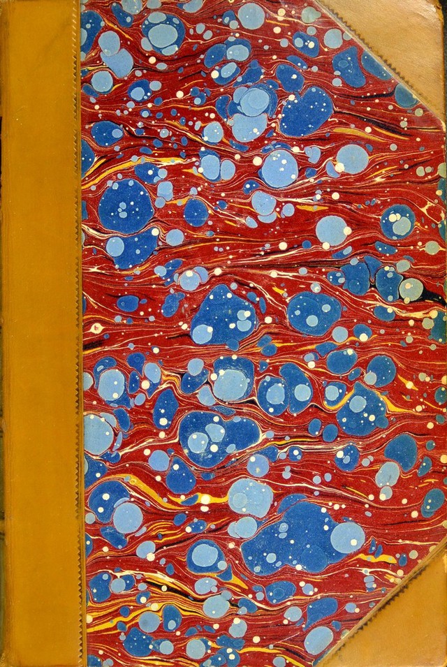 No text description is available for this image