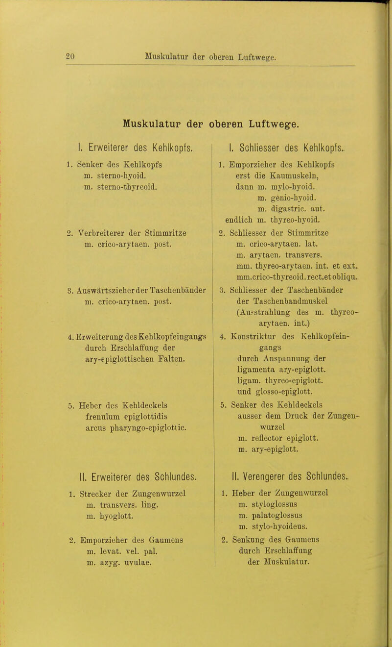 Muskulatur der oberen Luftwege. I. Erweiterer des Kehlkopfs. 1. Senker des Kehlkopfs m. sterno-hyoid. in. sterno-thyreoid. 2. Verbreiterer der Stimmritze m. crico-arytaen. post. 3. Auswärtszieher der Taschenbänder m. crico-arytaen. post. 4. Erweiterung des Kehlkopfeingangs durch Erschlaffung der ary-epiglottischen Falten. 5. Heber des Kehldeckels frenulum epiglottidis arcus pharyngo-epiglottic. II. Erweiterer des Schlundes. 1. Strecker der Zungenwurzel m. transvers. ling. m. hyoglott. 2. Emporzieher des Gaumens m. levat. vel. pal. m. azyg. uvulae. I. Schliesser des Kehlkopfs. 1. Emporzieher des Kehlkopfs erst die Kaumuskeln, dann m. mylo-hyoid. m. genio-byoid. m. digastric. aut. endlich m. thyreo-hyoid. 2. Schliesser der Stimmritze m. crico-arytaen. lat. m. arytaen. transvers. mm. thyreo-arytaen. int. et ext. mm.crico-thyreoid. rect.et obliqu. 3. Schliesser der Taschenbänder der Taschenbandmuskel (Au?strahlung des m. thyreo- arytaen. int.) 4. Konstriktur des Kehlkopfein- gangs durch Anspannung der ligamenta ary-epiglott. ligam. thyreo-epiglott. und glosso-epiglott. 5. Senker des Kehldeckels ausser dem Druck der Zungen- wurzel m. reflector epiglott. m. ary-epiglott. II. Verengerer des Schlundes. 1. Heber der Zungenwurzel m. styloglossus m. palatoglossus m. stylo-hyoideus. 2. Senkung des Gaumens durch Erschlaffung der Muskulatur.