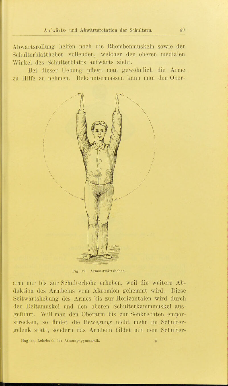 Abwärtsrollung helfen noch die Rh.ombenmusk.eln sowie der Schulterblattheber vollenden, welcher den oberen medialen Winkel des Schulterblatts aufwärts zieht. Bei dieser Uebung pflegt man gewöhnlich die Arme zu Hilfe zu nehmen. Bekanntermassen kann man den Ober- Fig. 19. Armseitwärtsheben. arm nur bis zur Schulterhöhe erheben, weil die weitere Ab- duktion des Armbeins vom Akromion gehemmt wird. Diese Seitwärtshebung des Armes bis zur Horizontalen wird durch den Deltamuskel und den oberen Schulterkammmuskel aus- geführt. Will man den Oberarm bis zur Senkrechten empor- strecken, so findet die Bewegung nicht mehr im Schulter- gelenk statt, sondern das Armbein bildet mit dem Schulter-