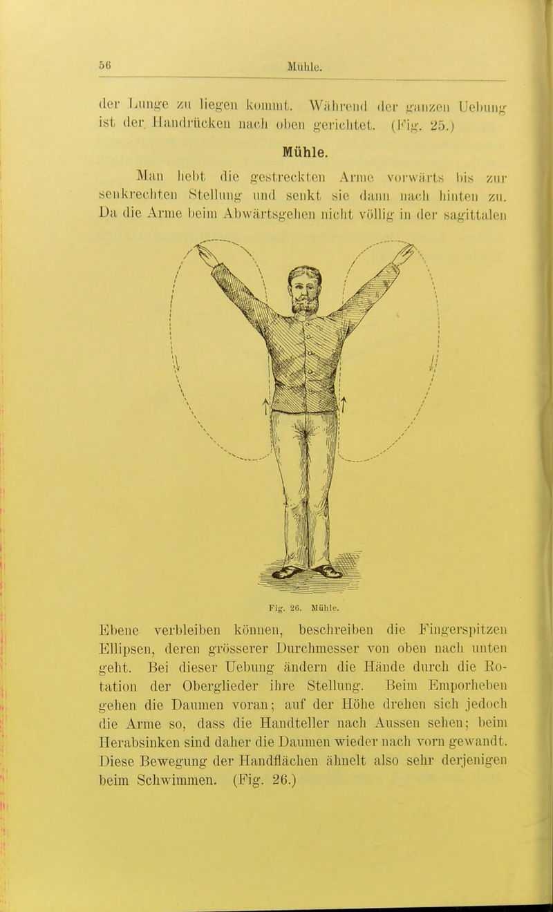 der Lunge zu liegen kommt. Während der ganzen Uebung ist der Handrücken nach oben gerichtet. (Fig. 25.) Mühle. Man liebt die gestreckten Anne vorwärts bis zur senkrechten Stellung und senkt sie dann nach hinten zu. Da die Anne beim Abwärtsgehen nicht völlig in der sagittalen Fig. 26. Mülilc. Ebene verbleiben können, beschreiben die Fingerspitzen Ellipsen, deren grösserer Durchmesser von oben nach unten geht. Bei dieser Uebung ändern die Hände durch die Ro- tation der Oberglieder ihre Stellung. Beim Emporheben gehen die Daumen voran; auf der Höhe drehen sich jedoch die Arme so, dass die Handteller nach Aussen sehen; beim Herabsinken sind daher die Daumen wieder nach vorn gewandt. Diese Bewegung der Handflächen ähnelt also sehr derjenigen beim Schwimmen. (Fig. 26.)