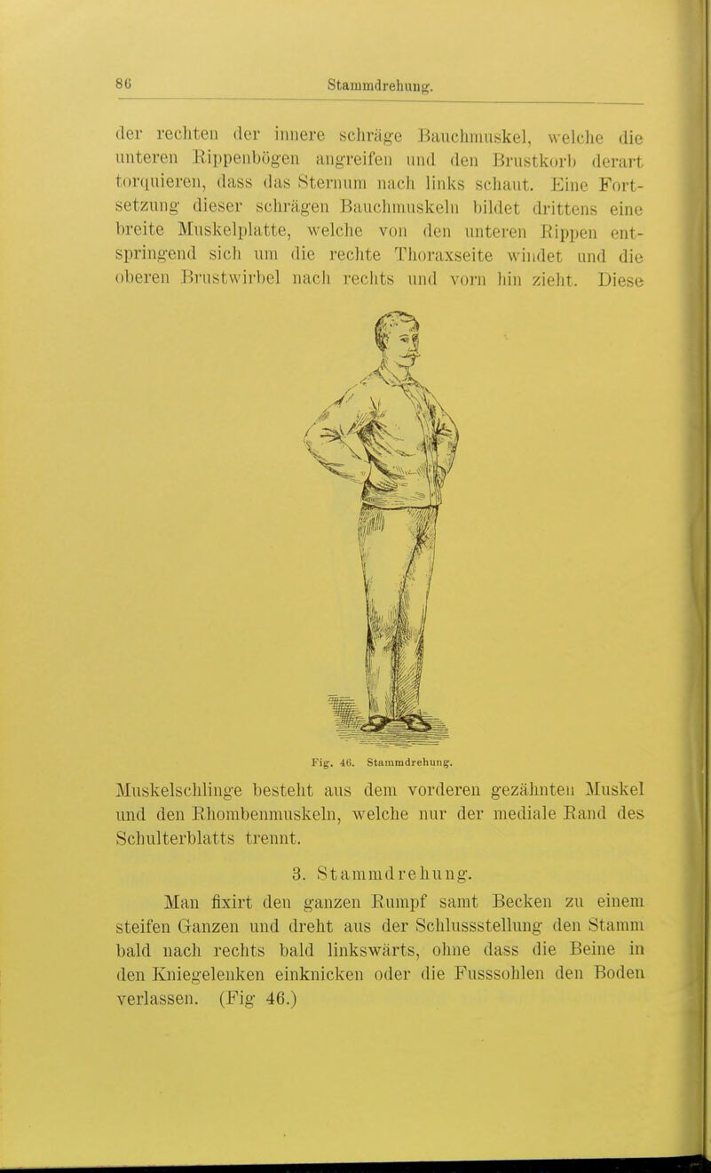 Stammdrehung. der rechten der innere schräge Bauchmuskel, welche die unteren Rippenbögen angreifen und den Brustkorb derarl torguieren, dass das Sternuni nach links schaut. Eine Fort- setzung dieser schrägen Bauchmuskeln bildet drittens eine breite Muskelplatte, welche von den unteren Rippen ent- springend sicli um die rechte Thoraxseite windet und die oberen Brustwirbel nach rechts und vorn hin zieht. Diese Fig. 46. Stammdrehung. Muskelschlinge bestellt aus dem vorderen gezähnten Muskel und den Rhombenmuskeln, welche nur der mediale Rand des Schulterblatts trennt. 3. Stammdrehung. Man fixirt den ganzen Rumpf samt Becken zu einem steifen Ganzen und dreht aus der Schlussstellung- den Stamm bald nach rechts bald linkswärts, ohne dass die Beine in den Kniegelenken einknicken oder die Fusssohlen den Boden verlassen. (Fig 46.)