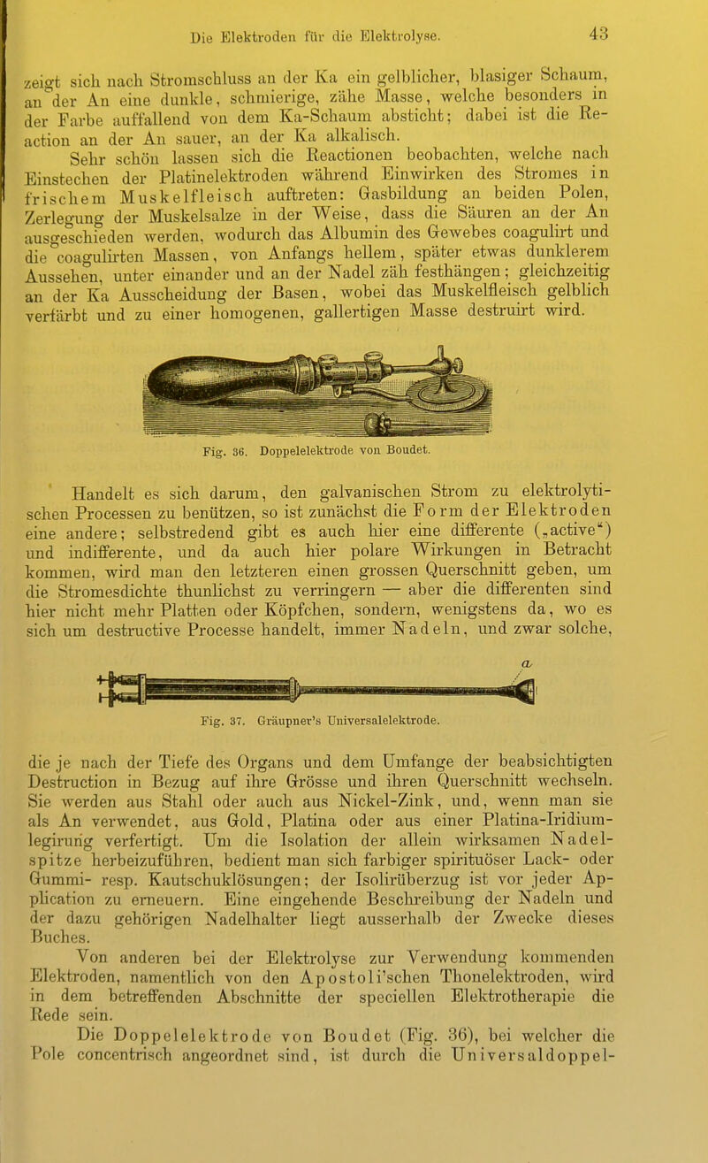 zeigt sich nach Sfcromschluss an der Ka ein gelblicher, blasiger Schaum, an'^der An eine dunkle, schmierige, zähe Masse, welche besonders in der Farbe auffallend von dem Ka-Schaum absticht; dabei ist die Re- action an der An sauer, an der Ka alkalisch. Sehr schön lassen sich die lieactionen beobachten, welche nach Einstechen der Platinelektroden während Einwirken des Stromes in frischem Muskelfleisch auftreten: Gasbildung an beiden Polen, Zerleo-uno- der Muskelsalze in der Weise, dass die Säuren an der An auso-e^chieden werden, wodurch das Albumin des Gewebes coagulirt und die%oagulii-ten Massen, von Anfangs hellem, später etwas dunklerem Aussehen, unter einander und an der Nadel zäh festhängen; gleichzeitig an der Ka Ausscheidung der Basen, wobei das Muskelfleisch gelbHch verfärbt und zu einer homogenen, gallertigen Masse destruü-t wird. Fig. 36. Doppelelekti'ode vou Boudet. Handelt es sich darum, den galvanischen Strom zu elektrolyti- schen Processen zu benützen, so ist zunächst die Form der Elektroden eine andere; selbstredend gibt es auch hier eine differente („active) und indifferente, und da auch hier polare Wirkungen in Betracht kommen, wird man den letzteren einen grossen Querschnitt geben, um die Stromesdichte thunKchst zu verringern — aber die differenten sind hier nicht mehr Platten oder Köpfchen, sondern, wenigstens da, wo es sich um destructive Processe handelt, immer Nadeln, und zwar solche. Oy Fig. 37. Gräupnev's TJniversalelektrode. die je nach der Tiefe des Organs und dem Umfange der beabsichtigten Destruction in Bezug auf ihre Grösse und ihren Querschnitt wechseln. Sie werden aus Stahl oder auch aus Nickel-Zink, und, wenn man sie als An verwendet, aus Gold, Piatina oder aus einer Platina-Iridium- legirurig verfertigt. Um die Isolation der allein wirksamen Nadel- spitze herbeizuführen, bedient man sich farbiger spirituöser Lack- oder Gummi- resp. Kautschuklösungen; der Isolirüberzug ist vor jeder Ap- phcation 7a\ erneuern. Eine eingehende Beschreibung der Nadeln und der dazu gehörigen Nadelhalter liegt ausserhalb der Zwecke dieses Buches. Von anderen bei der Elektrolyse zur Verwendung kommenden Elektroden, namentlich von den Apostoli'schen Thonelektroden, wird in dem betreffenden Abschnitte der speciellen Elektrotherapie die Rede sein. Die Doppelelektrode von Boudet (Fig. 36), bei welcher die Pole concentrisch angeordnet sind, ist durch die Universaldoppel-