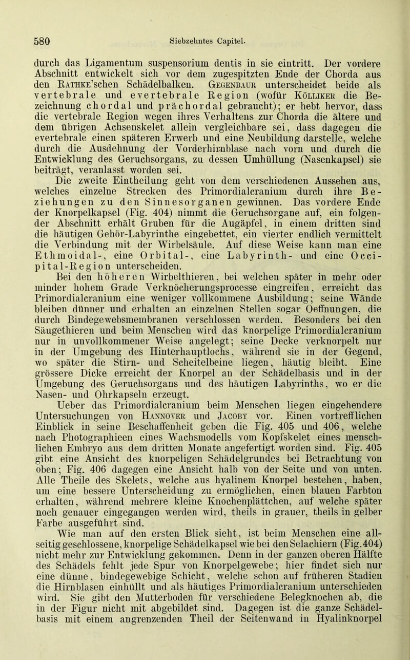 durch das Ligamentum Suspensorium dentis in sie eintritt. Der vordere Abschnitt entwickelt sich vor dem zugespitzten Ende der Chorda aus den RATHKE’schen Schädelbalken. Gegenbaur unterscheidet beide als vertebrale und evertebrale Region (wofür Kölliker die Be- zeichnung chordal und prächordal gebraucht); er hebt hervor, dass die vertebrale Region wegen ihres Verhaltens zur Chorda die ältere und dem übrigen Achsenskelet allein vergleichbare sei, dass dagegen die evertebrale einen späteren Erwerb und eine Neubildung darstelle, welche durch die Ausdehnung der Vorderhirnblase nach vorn und durch die Entwicklung des Geruchsorgans, zu dessen Umhüllung (Nasenkapsel) sie beiträgt, veranlasst worden sei. Die zweite Eintheilung geht von dem verschiedenen Aussehen aus, welches einzelne Strecken des Primordialcranium durch ihre Be- ziehungen zu den Sinnesorganen gewinnen. Das vordere Ende der Ivnorpelkapsel (Fig. 404) nimmt die Geruchsorgane auf, ein folgen- der Abschnitt erhält Gruben für die Augäpfel, in einem dritten sind die häutigen Gehör-Labyrinthe eingebettet, ein vierter endlich vermittelt die Verbindung mit der Wirbelsäule. Auf diese Weise kann man eine Ethmoidal-, eine Orbital-, eine Labyrinth- und eine Occi- pital-Region unterscheiden. Bei den höheren Wirbelthieren, bei welchen später in mehr oder minder hohem Grade Verknöcherungsprocesse eingreifen, erreicht das Primordialcranium eine weniger vollkommene Ausbildung; seine Wände bleiben dünner und erhalten an einzelnen Stellen sogar Oeffnungen, die durch Bindegewebsmembranen verschlossen werden. Besonders bei den Säugethieren und beim Menschen wird das knorpelige Primordialcranium nur in unvollkommener Weise angelegt; seine Decke verknorpelt nur in der Umgebung des Hinterhauptlochs, während sie in der Gegend, wo später die Stirn- und Scheitelbeine liegen, häutig bleibt. Eine grössere Dicke erreicht der Knorpel an der Schädelbasis und in der Umgebung des Geruchsorgans und des häutigen Labyrinths, wo er die Nasen- und Ohrkapseln erzeugt. Ueber das Primordialcranium beim Menschen liegen eingehendere Untersuchungen von Hannover und Jacoby vor. Einen vortrefflichen Einblick in seine Beschaffenheit geben die Fig. 405 und 406, welche nach Photographieen eines Wachsmodells vom Kopfskelet eines mensch- lichen Embryo aus dem dritten Monate angefertigt worden sind. Fig. 405 gibt eine Ansicht des knorpeligen Schädelgrundes bei Betrachtung von oben; Fig. 406 dagegen eine Ansicht halb von der Seite und von unten. Alle Theile des Skelets, welche aus hyalinem Knorpel bestehen, haben, um eine bessere Unterscheidung zu ermöglichen, einen blauen Farbton erhalten, während mehrere kleine Knochenplättchen, auf welche später noch genauer eingegangen werden wird, theils in grauer, theils in gelber Farbe ausgeführt sind. Wie man auf den ersten Blick sieht, ist beim Menschen eine all- seitig geschlossene, knorpelige Schädelkapsel wie bei den Selachiern (Fig.404) nicht mehr zur Entwicklung gekommen. Denn in der ganzen oberen Hälfte des Schädels fehlt jede Spur von Knorpelgewebe; hier findet sich nur eine dünne, bindegewebige Schicht, welche schon auf früheren Stadien die Hirnblasen einhüllt und als häutiges Primordialcranium unterschieden wird. Sie gibt den Mutterboden für verschiedene Belegknochen ab, die in der Figur nicht mit abgebildet sind. Dagegen ist die ganze Schädel- basis mit einem angrenzenden Theil der Seitenwand in Hyalinknorpel