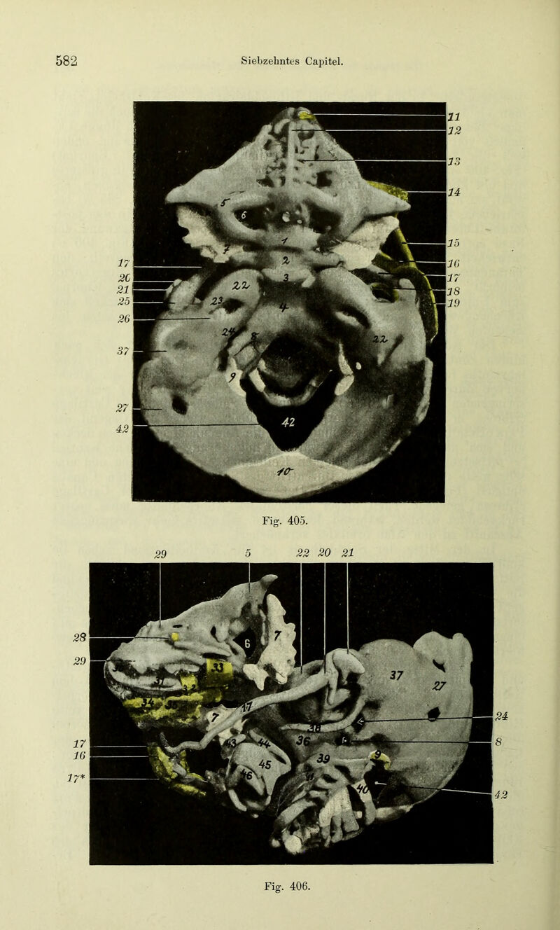 Fig. 405. Fiff. 406.