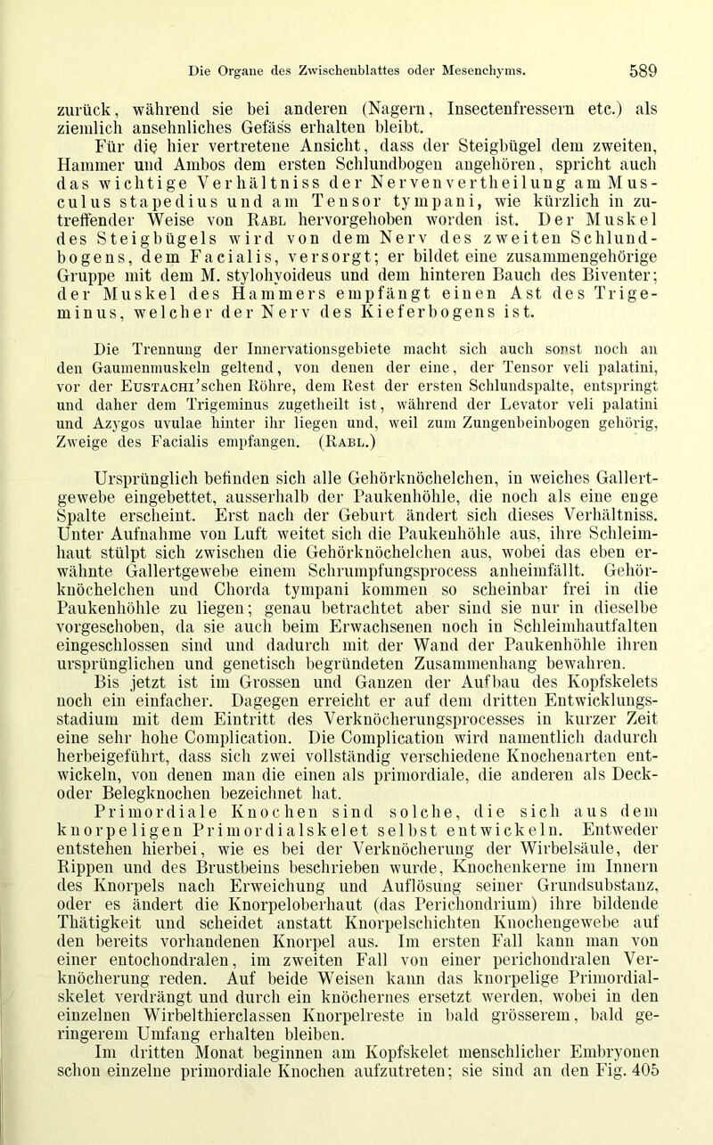 zurück, während sie bei anderen (Nagern, Insectenfressern etc.) als ziemlich ansehnliches Gelass erhalten bleibt. Für die hier vertretene Ansicht, dass der Steigbügel dem zweiten, Hammer und Ambos dem ersten Schlundbogen angehören, spricht auch das wichtige Verhältniss der Nervenvertheilung amMus- culus stapedius und am Tensor tympani, wie kürzlich in zu- treffender Weise von Rabl hervorgehoben worden ist. Der Muskel des Steigbügels wird von dem Nerv des zweiten Schlund- bogens, dem Facialis, versorgt; er bildet eine zusammengehörige Gruppe mit dem M. stylohvoideus und dem hinteren Bauch des Biventer; der Muskel des Hammers empfängt einen Ast des Trige- minus, welcher der Nerv des Kieferbogens ist. Die Trennung der Innervationsgebiete macht sich auch sonst noch an den Gaumenmuskeln geltend, von denen der eine, der Tensor veli palatini, vor der EusTACHi’schen Röhre, dem Rest der ersten Schlundspalte, entspringt und daher dem Trigeminus zugetheilt ist, während der Levator veli palatini und Azygos uvulae hinter ihr liegen und, weil zum Zungenheinhogen gehörig, Zweige des Facialis empfangen. (Rabl.) Ursprünglich befinden sich alle Gehörknöchelchen, in weiches Gallert- gewebe eingebettet, ausserhalb der Paukenhöhle, die noch als eine enge Spalte erscheint. Erst nach der Geburt ändert sich dieses Verhältniss. Unter Aufnahme von Luft weitet sich die Paukeuhöhle aus, ihre Schleim- haut stülpt sich zwischen die Gehörknöchelchen aus, wobei das eben er- wähnte Gallertgewebe einem Schrumpfungsprocess anheimfällt. Gehör- knöchelchen und Chorda tympani kommen so scheinbar frei in die Paukenhöhle zu liegen; genau betrachtet aber sind sie nur in dieselbe vorgeschoben, da sie auch beim Erwachsenen noch in Schleimhautfalten eingeschlossen sind und dadurch mit der Wand der Paukenhöhle ihren ursprünglichen und genetisch begründeten Zusammenhang bewahren. Bis jetzt ist im Grossen und Ganzen der Aufbau des Kopfskelets noch ein einfacher. Dagegen erreicht er auf dem dritten Entwicklungs- stadium mit dem Eintritt des Verknöcherungsprocesses in kurzer Zeit eine sehr hohe Complication. Die Complication wird namentlich dadurch herbeigeführt, dass sich zwei vollständig verschiedene Knochenarten ent- wickeln, von denen man die einen als primordiale, die anderen als Deck- ocler Belegknochen bezeichnet hat. Primordiale Knochen sind solche, die sich aus dem knorpeligen Primordialskelet selbst entwickeln. Entweder entstehen hierbei, wie es bei der Verknöcherung der Wirbelsäule, der Rippen und des Brustbeins beschrieben wurde, Knochenkerne im Innern des Knorpels nach Erweichung und Auflösung seiner Grundsubstanz, oder es ändert die Knorpeloberhaut (das Perichondrium) ihre bildende Thätigkeit und scheidet anstatt Knorpelschichten Knochengewebe auf den bereits vorhandenen Knorpel aus. Im ersten Fall kann man von einer entochondralen, im zweiten Fall von einer perichondralen Ver- knöcherung reden. Auf beide Weisen kann das knorpelige Primordial- skelet verdrängt und durch ein knöchernes ersetzt werden, wobei in den einzelnen Wirbelthierclassen Knorpelreste in bald grösserem, bald ge- ringerem Umfang erhalten bleiben. Im dritten Monat beginnen am Kopfskelet menschlicher Embryonen schon einzelne primordiale Knochen aufzutreten; sie sind an den Fig. 405