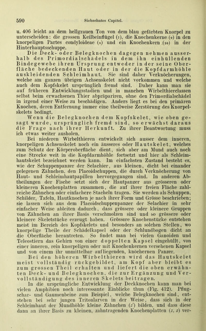 u. 406 leicht an dem hellgrauen Ton von dem blau gefärbten Knorpel zu unterscheiden: die grossen Keilbeinflügel (7), die Knochenkerne (9) in den knorpeligen Partes condyloideae (s) und ein Knochenkern (10) in der Hinterhauptsschuppe. Die Deck- oder Belegknochen dagegen nehmen ausser- halb des Primordialschädels in dem ihn ein hüllenden Bindegewebe ihren Ursprung entweder in der seine Ober- fläche bedeckenden Haut oder in der die Kopf darmhöhle auskleidenden Schleimhaut. Sie sind daher Verknöcherungen, welche am ganzen übrigen Achsenskelet nicht Vorkommen und welche auch dem Kopfskelet ursprünglich fremd sind. Daher kann man sie auf früheren Entwicklungsstadien und in manchen Wirbelthierclassen selbst beim erwachsenen Thier ahpräpariren, ohne den Primordialschädel in irgend einer Weise zu beschädigen. Anders liegt es bei den primären Knochen, deren Entfernung immer eine theilweise Zerstörung des Knorpel- skelets bedingt. Wenn die Belegknochen dem Kopfskelet, wie oben ge- sagt wurde, ursprünglich fremd sind, so erwächst daraus die Frage nach ihrer Herkunft. Zu ihrer Beantwortung muss ich etwas weiter ausholen. Bei niederen Wirbelthieren entwickelt sich ausser dem inneren, knorpeligen Achsenskelet noch ein äusseres oder Hautskelet, welches zum Schutz der Körperoberfläche dient, sich aber am Mund auch noch eine Strecke weit in die Kopfdarmhöhle fortsetzt und hier als Schleim- hautskelet bezeichnet werden kann. Im einfachsten Zustand besteht es, wie der Schuppenpanzer der Selachier, aus kleinen, dicht hei einander gelegenen Zähnchen, den Placoidschuppen, die durch Verknöcherung von Haut- und Schleimhautpapillen hervorgegangen sind. In anderen Ab- theilungen der Fische setzt sich der Hautpanzer aus grösseren oder kleineren Knochenplatten zusammen, die auf ihrer freien Fläche zahl- reiche Zähnchen oder einfachere Stacheln tragen. Sie werden als Schuppen, Schilder, Tafeln, Hautknochen je nach ihrer Form und Grösse beschrieben; sie lassen sich aus dem Placoidschuppenpanzer der Selachier in sehr einfacher Weise ableiten dadurch, dass grössere oder kleinere Gruppen von Zähnchen an ihrer Basis verschmolzen sind und so grössere oder kleinere Skeletstücke erzeugt haben. Grössere Knochenstücke entstehen meist im Bereich des Kopfskelets und besonders an solchen Stellen, wo knorpelige Theile der Schädelkapsel oder der Schlundbogen dicht an die Oberfläche herantreten. So findet man bei vielen Ganoiden und Teleostiern das Gehirn von einer doppelten Kapsel eingehüllt, von einer inneren, rein knorpeligen oder mit Knochenkernen versehenen Kapsel und von einem ihr unmittelbar aufliegenden, knöchernen Panzer. Bei den höheren Wirbelthieren wird das Hautskelet meist vollständig rückgebildet, am Kopf aber bleibt es zum grossen Theil erhalten und liefert die oben erwähn- ten Deck- und Belegknochen, die zur Ergänzung und Ver- vollständigung des inneren Skelets beitragen. In die ursprüngliche Entwicklung der Deckknochen kann man bei vielen Amphibien noch interessante Einblicke thun (Fig. 412). Pflug- schar- und Gaumenbeine zum Beispiel, welche Belegknochen sind, ent- stehen hei sehr jungen Tritonlarven in der Weise, dass sich in der Schleimhaut der Mundhöhle kleine Zähnchen (z) bilden, und dass diese dann an ihrer Basis zu kleinen, zahntragenden Knochenplatten (z, z) ver-