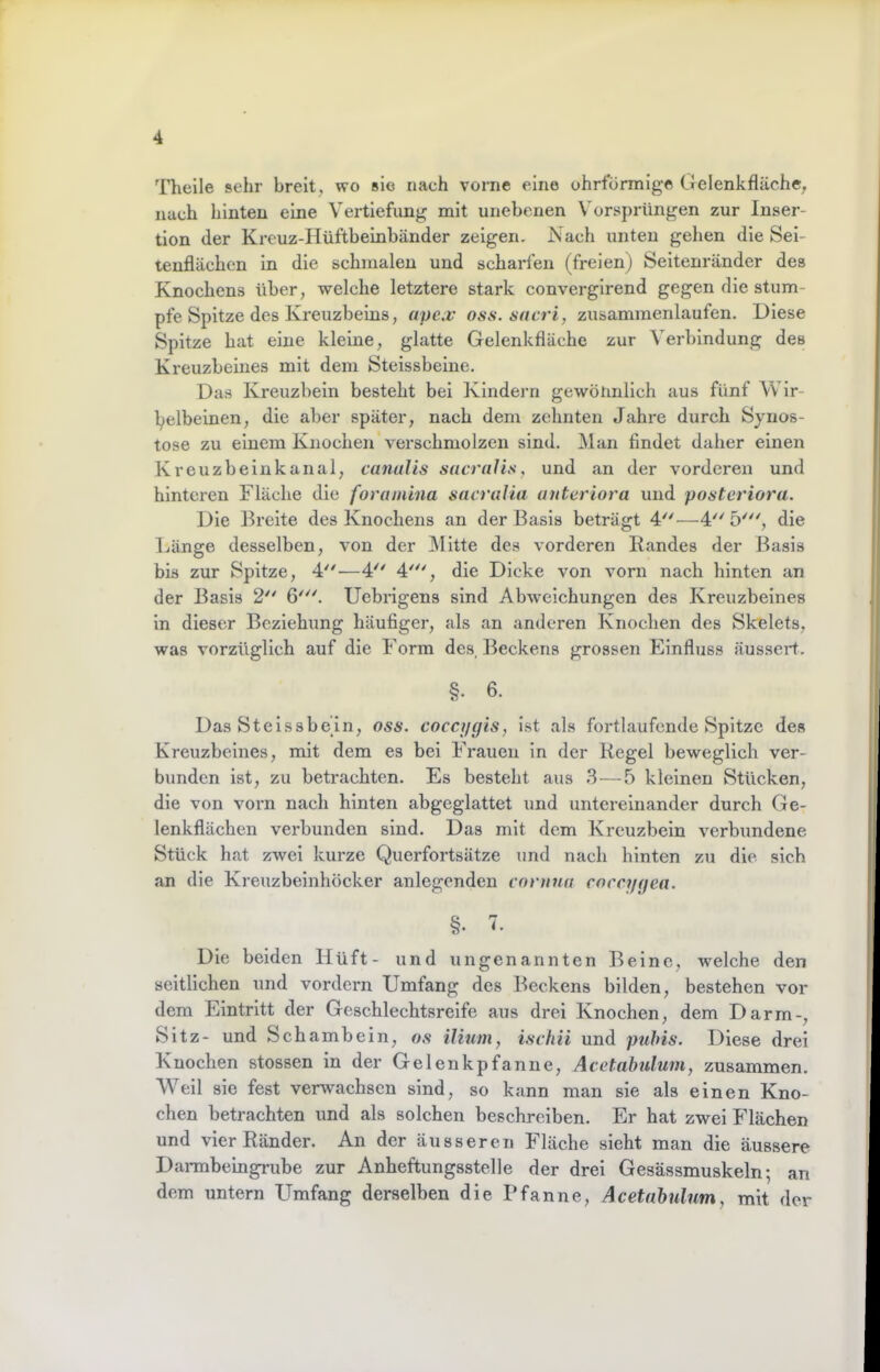 'Hielle sehr breit, wo sie nach vorne eine ohrförmige Gelenkfläche, nach hinten eine Vertiefung mit unebenen V'orsprüngen zur Inser- tion der Krcuz-Hüftbeinbänder zeigen. Nach unten gehen die Sei- tenflächen ln die schmalen und scharfen (freien) Seitenränder des Knochens über, welche letztere stark converglrend gegen die stum- pfe Spitze des Kreuzbeins, ape:v oss.tiacri, zusammenlaufen. Diese Spitze hat eine kleine, glatte Gelenkfläche zur Verbindung des Kreuzbeines mit dem Steissbelne. Das Kreuzbein besteht bei Kindern gewönnlich aus fünf Wlr- l^elbeinen, die aber später, nach dem zehnten Jahre durch Synos- tose zu einem Knochen verschmolzen sind. Man findet daher einen Kreuzbeinkanal, canalis sacraUs, und an der vorderen und hinteren Fläche die foraniina sacralia unteriora und posteriora. Die ]5reite des Knochens an der Basis beträgt 4'^'—4'' 5', die Länge desselben, von der Mitte des vorderen Randes der Basis bis zur Spitze, 4—4', die Dicke von vorn nach hinten an der Basis 2 6^^'. Uebrigens sind Abweichungen des Kreuzbeines ln dieser Beziehung häufiger, als an anderen Knochen des Skelets, was vorzüglich auf die Form des, Beckens grossen Einfluss äussert. §. 6. Das Steissbein, oss. cocajgis, ist als fortlaufende Spitze des Kreuzbeines, mit dem es bei Frauen in der Regel beweglich ver- bunden ist, zu betrachten. Es besteht aus 3—5 kleinen Stücken, die von vorn nach hinten abgeglattet und untereinander durch Ge- lenkflächen verbunden sind. Das mit dem Kreuzbein verbundene Stück hat zwei kurze Querfortsätze und nach hinten zu die sich an die Kreuzbeinhöcker anlegenden cnnina coccifgea. §. Die beiden Hüft- und ungenannten Beine, w'elche den seitlichen und vordem Umfang des Beckens bilden, bestehen vor dem Eintritt der Geschlechtsreife aus drei Knochen, dem Darm-, Sitz- und Schambein, o.s ilium, Lschii und puhis. Diese drei Knochen stossen in der Gelenkpfanne, Acetabulum, zusammen. Weil sie fest verwachsen sind, so kann man sie als einen Kno- chen betrachten und als solchen beschreiben. Er hat zwei Flächen und vier Ränder. An der äusseren Fläche sieht man die äussere Daraibeingrube zur Anheftungsstelle der drei Gesässmuskeln; an dem untern Umfang derselben die Pfanne, Acetabulum, mit der