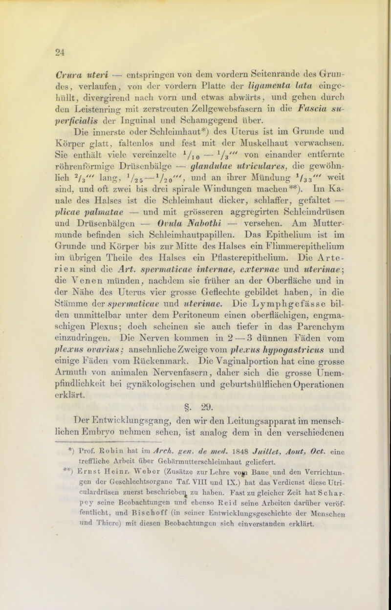 Crura uteri — entspringen von dein vordem Seitenrande des Grun- des, verlauten, von der vordem Platte der lujamenta lata einge- liüllt, divergirend nach vom und etwas abwärts, und gehen durch den Leistenring mit zerstreuten Zellgewebstasern in die Fascia su- perficialis der Inguinal und Sehamgegend über. Die innerste oder Schleimhaut*) des Uterus ist im Grunde und Körper glatt, taltenlos und fest mit der Muskelhaut verwachsen. Sic enthält viele vereinzelte ^/jo — von einander entfernte röhrenförmige Drüsenbälge ■— (jlandulae utriculares, die gewöhn- lich lang, V25 — V2oL ihrer Mündung weit sind, und oft zwei bis drei spirale Windungen machen**). Im Ka- näle des Halses ist die Schleimhaut dicker, schlaffer, gefaltet — plicae palmutae — und mit grösseren aggregirten Schleimdmsen und Drüsenbälgen — Ovula Nahothi — versehen. Am Mutter- munde befinden sich Schleimhautpapillcn. Das Epithellum Ist im Grunde und Körper bis zur Mitte des Halses ein Flimmerepithellum Im übrigen Theile des Halses ein Pflastcrepithelium. Die Arte- rien sind die Ä7't. spermaticae intei'uae, ca'te^'uac und uterlnae] die V enen münden, nachdem sie früher an der Oberfläche und in der Nähe des Uterus vier grosse Geflechte gebildet haben. In die Stämme der sperinalicue und utci'inae. Die Lymphgefässc bil- den unmittelbar unter dem Peritoneum einen oberflächigen, engma- schigen Plexus; doch scheinen sie auch tiefer in das Parenchym einzudringen. Die Nerven kommen in 2 — 3 dünnen Fäden vom ple.vns ovarius: ansehnliche Zweige vom plexus hypngastricus und einige Fäden vom Ilückcnmark. Die Vaginalportion hat eine grosse Armuth von animalen Nervenfasern, daher sich die grosse Unem- pfindlichkeit bei gynäkologischen und geburtshülflichen Operationen erklärt. 29. 1 )er Entwicklungsgang, den wir den Lcitungsapparat im mensch- lichen Embryo nehmen sehen, ist analog dem In den verschiedenen *) Prof. Robin hat im Arc/i. ^en. de rned. 1848 JuÜlet, Aout, Oct. eine treft’liche Arbeit über Gebärmutterschlcimbaut geliefert. Ernst Ileinr. Weber (Zusätze zur Lehre voyi Baue und den Verrichtun- gen der Geschlechtsorgane Taf. VIII und IX.) hat das Verdienst diese Utri- culardrüsen zuerst beschriebei^ zu haben. Fa.st zu gleicher Zeit hat Scliar- pey seine Beobachtungen und ebenso Keid seine Arbeiten darüber veröf- fentlicht, und Bischoff (in seiner Entwicklung.sgeschicbtc der Menschen und Thicre) mit diesen Beobachtungen sich einverstanden erklärt.