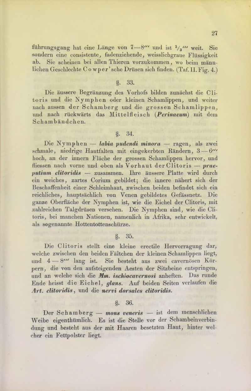 führiingsgang hat eine Länge von 7—8'^' mul ist weit. Sie «oudern eine consistente, fadenzieliende, weisslichgraue Flüssigkeit ab. Sie scheinen bei allen Thieren vorzukommen, wo beim männ- lichen Geschlechte Co wper’sehe Drüsen sich finden. (Taf.ILFig. 4.) §. 33. Die äussere Begräuzung des Vorhofs bilden zunächst die Cli- toris und die Nymphen oder kleinen Schamlippen, und weiter nach aussen der Schamberg und die grossen Schamlippen, und nach rückwärts das Mittelfleisch {Perinaemn) mit dem Sehambändehen. §. 34. Die Nymphen — labia pudendi minora — ragen, als zwei schmale, niedrige Hautfalten mit eingekerbten Bändern, 3 — 6'^' hoch, an der innern Fläche der grossen Schamlippen hervor, und fliessen nach vorne und oben als Vorhaut derClitoris — prae- putium clitoridis — zusammen. Ihre äussere Platte wird durch ein weiches, zartes Corium gebildet; die innere nähert sich der Beschaffenheit einer Schleimhaut, zwischen beiden befindet sich ein reichliches, hauptsächlich von Venen gebildetes Gefässnetz, Die ganze Oberfläche der Nymphen ist, wie die Eichel der Clitoris, mit zahlreichen Talgdrüsen versehen. Die Nymphen sind, wie die Cli- toris, bei manchen Nationen, namenlich in Afrika, sehr entwickelt, als sogenannte Hottentottenschürze. §. 35. Die Clitoris stellt eine kleine erectile Hervorragung dar, welche zwischen den beiden Fältchen der kleinen Schamlippen liegt, und 4 ■— 8' lang ist. Sie besteht aus zwei cavernösen Kör- pern, die von den aufsteigenden Aesten der Sitzbeine entspringen, und an welche sich die Mm. ischiocavernosi anheften. Das runde Ende heisst die Eichel, glans. Auf beiden Seiten verlaufen die Art. clitoridis, und die nervi dorsales clitoridis. §- 36. Der Schamberg — rnons veneris — ist dem menschlichen Weibe eigenthümlich. Es ist die Stelle vor der Schambeinverbin- dimg und besteht aus der mit Haaren besetzten Haut, hinter wel- cher ein Fettpolster liegt.