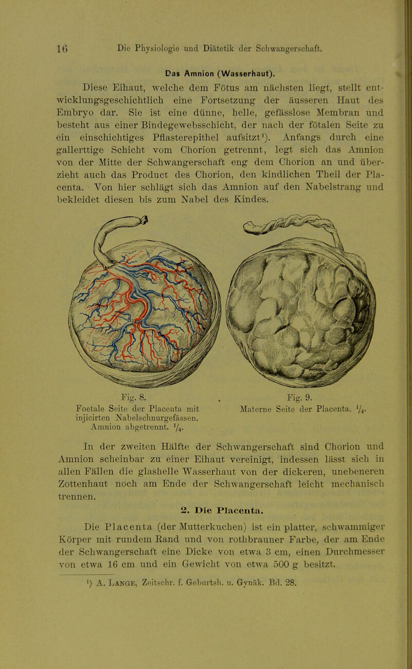 Das Amnion (Wasserhaut). Diese Eihaut, welche dem Fötus am nächsten liegt, stellt ent- wicklungsgeschichtlich eine Fortsetzung der äusseren Haut des Embryo dar. Sie ist eine dünne, helle, gefässlose Membran und besteht aus einer Bindegewebsschicht, der nach der fötalen Seite zu ein einschichtiges Pflasterepithel aufsitzt'). Anfangs durch eine gallerttige Schicht vom Chorion getrennt, legt sich das Amnion von der Mitte der Schwangerschaft eng dem Chorion an und über- zieht auch das Product des Chorion, den kindlichen Theil der Pla- centa. Von hier schlägt sich das Amnion auf den Nabelstrang und bekleidet diesen bis zum Nabel des Kindes. Fig. 8. . Fig. 9. Foetale Seite der Placeuta mit Materne Seite der Placenta. '/.j- injicirten Nabelschnurgefässen. Amnion abgetrennt. 74- In der zweiten Hälfte der Schwangerschaft sind Chorion und Amnion scheinbar zu einer Eihaut vereinigt, indessen lässt sich in allen Fällen die glashelle Wasserhaut von der dickeren, unebeneren Zottenhaut noch am Ende der Schwangerschaft leicht mechanisch trennen. 2. Die Placenta. Die Placenta (der Mutterkuchen) ist ein platter, schwammiger Körper mit rundem Rand und von rothbrauner Farbe, der am Ende der Schwangerschaft eine Dicke von etwa 3 cm, einen Durchmesser von etwa 16 cm und ein Gewicht von etwa 500 g besitzt.