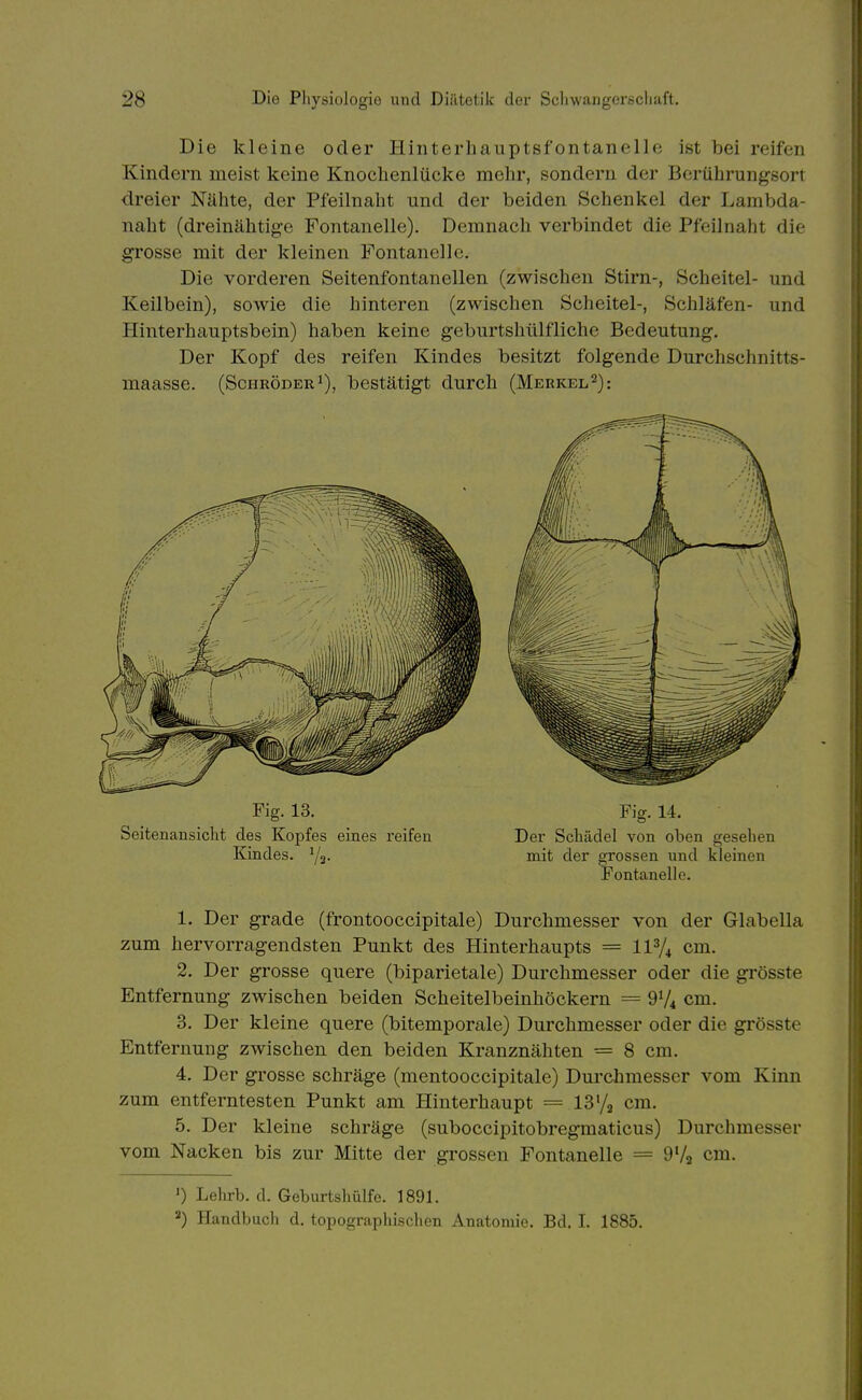 Die kleine oder Hiiiterhauptsfontanelle ist bei reifen Kindern meist keine Knochenlücke mehr, sondern der Berührungsort dreier Nähte, der Pfeilnaht und der beiden Schenkel der Lambda- naht (dreinähtig-e Fontanelle). Demnach verbindet die Pfeilnaht die grosse mit der kleinen Fontanelle. Die vorderen Seitenfontanellen (zwischen Stirn-, Scheitel- und Keilbein), sowie die hinteren (zwischen Scheitel-, Schläfen- und Hinterhauptsbein) haben keine geburtshülfliche Bedeutung. Der Kopf des reifen Kindes besitzt folgende Durchschnitts- maasse. (Schröderi), bestätigt durch (Merkel,2): Fig. 13. Fig. 14. Seitenansicht des Kopfes eines reifen Der Schädel von oben gesehen Kindes. 72- mit der grossen und kleinen Fontanelle. 1. Der grade (frontooccipitale) Durchmesser von der Glabella zum hervorragendsten Punkt des Hinterhaupts = 11V4 cm. 2. Der grosse quere (biparietale) Durchmesser oder die grösste Entfernung zwischen beiden Scheitelbeinhöckern = 9V4 cm. 3. Der kleine quere (bitemporale) Durchmesser oder die grösste Entfernung zwischen den beiden Kranznähten = 8 cm. 4. Der grosse schräge (mentooccipitale) Durchmesser vom Kinn zum entferntesten Punkt am Hinterhaupt = 13% cm. 5. Der kleine schräge (suboccipitobregmaticus) Durchmesser vom Nacken bis zur Mitte der grossen Fontanelle = 9V2 cm. ') Lehrb. d. Geburtshülfe. 1891. Handbuch d. topographischen Anatomie. Bd. I. 1885.