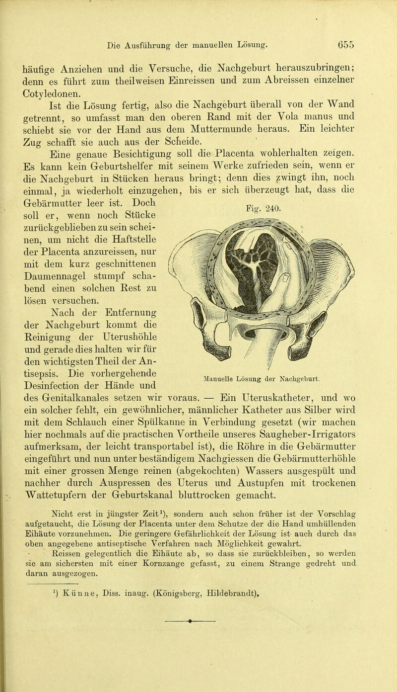 häufige Anziehen und die Versuche, die JSTachgeburt herauszubringen; denn es führt zum theilweisen Einreissen und zum Abreissen einzelner Cotyledonen. Ist die Lösung fertig, also die Nachgeburt überall von der Wand getrennt, so umfasst man den oberen Eand mit der Vola manus und schiebt sie vor der Hand aus dem Muttermunde heraus. Ein leichter Zug schafft sie auch aus der Scheide. Eine genaue Besichtigung soll die Placenta wohlerhalten zeigen. Es kann kein Geburtshelfer mit seinem Werke zufrieden sein, wenn er die Nachgeburt in Stücken heraus bringt; denn dies zwingt ihn, noch einmal, ja wiederholt einzugehen, bis er sich überzeugt hat, dass die Grebärmu.tter leer ist. Doch soll er, wenn noch Stücke zurückgebheben zu sein schei- nen, um nicht die Haftstelle der Placenta anzureissen, nur /' mit dem kurz geschnittenen (^ Daumennagel stumpf scha- ^ bend einen solchen Rest zu lösen versuchen. Nach der Entfernung der Nachgeburt kommt die Reinigung der Uterushöhle und gerade dies halten wir für den wichtigsten Theil der An- tisepsis. Die vorhergehende Desinfection der Hände und des Genitalkanales setzen wir voraus. — Ein Uteruskatheter, und wo ein solcher fehlt, ein gewöhnlicher, männhcher Katheter aus Silber wird mit dem Schlauch einer Spülkanne in Verbindung gesetzt (wir machen hier nochmals auf die practischen Vortheile unseres Saugheber-Irrigators aufmerksam, der leicht transportabel ist), die Röhre in die Gebärmutter eingeführt und nun unter beständigem Nachgiessen die Gebärmutterhöhle mit einer grossen Menge reinen (abgekochten) Wassers ausgespült und nachher durch Auspressen des Uterus und Austupfen mit trockenen Wattetupfern der Geburtskanal bluttrocken gemacht. Nicht erst in jüngster Zeit*), sondern auch schon früher ist der Vorschlag aufgetaucht, die Lösung der Placenta unter dem Schutze der die Hand umhüllenden Eihäute vorzunehmen. Die geringere Grefährlichkeit der Lösung ist auch durch das oben angegebene antiseptische Verfahren nach Möglichkeit gewahrt. ßeissen gelegentlich die Eihäute ab, so dass sie zurückbleiben, so werden sie am sichersten mit einer Kornzange gefasst, zu einem Strange gedreht und daran ausgezogen. Fig. 240. Manuelle Lösung der Nachgeburt. *) Künne, Diss. inaug. (Königsberg, Hildebrandt).