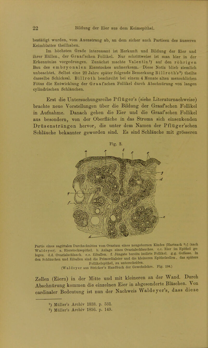bestätigt wurden, vom Axenstrang ab, an dem sicher auch Partieen des äusseren Keimblattes theilhaben. Im höchsten Grade interessant ist Herkunft und Bildung der Eier und ihrer Hüllen, der Graafschen Follikel. Nur schrittweise ist man hier in der Erkenntniss vorgedrungen. Zunächst machte Valentin1) auf den röhrigen Bau des embryonalen Eierstockes aufmerksam. Diese Notiz blieb ziemlich unbeachtet. Selbst eine 20 Jahre später folgende Bemerkung Billroth's2) theilte dasselbe Schicksal. Billroth beschreibt bei einem 4 Monate alten menschlichen Fötus die Entwicklung der Graafschen Follikel durch Abschnürung von langen C3Tlindri8chen Schläuchen. Erst die Untersuchungsreihe Pflüger's (siehe Literaturnachweise) brachte neue Vorstellungen über die Bildung der Graafschen Follikel in Aufnahme. Danach gehen die Eier und die GraaP sehen Follikel aus besondern, von der Oberfläche in das Stroma sich einsenkenden Drüsensträngen hervor, die unter dem Namen der Pflüger'schen Schläuche bekannter geworden sind. Es sind Schläuche mit grösseren Fig. 3. Partie eines sagittalen Durchschnittes vom Ovarium eines neugebomen Kindes [Hartnack 8/7] (nach Waldeyer). a. Eierstocksepithel, b. Anlage eines Ovarialschlaucb.es. c.c. Eier im Epithel ge- legen, d.d. Ovarialschlauch. e.e. Eiballen, f. Jüngste bereits isolirte Follikel, g.g. Gefässe. In den Schläuchen und Eiballen sind die Primordialeier und die kleineren Epithelzellen, das spatere Follikelepithel, zu unterscheiden. (Waldeyer aus Striekels Handbuch der Gewebelehre. Fig. 198.) Zellen (Eiern) in der Mitte und mit kleineren an der Wand. Durch Abschnürung kommen die einzelnen Eier in abgesonderte Bläschen. Von cardinaler Bedeutung ist nun der Nachweis Waldeyer's, dass diese J) Müller's Archiv 1838. p. 531. 2) Müller's Archiv 1856. p. 149.