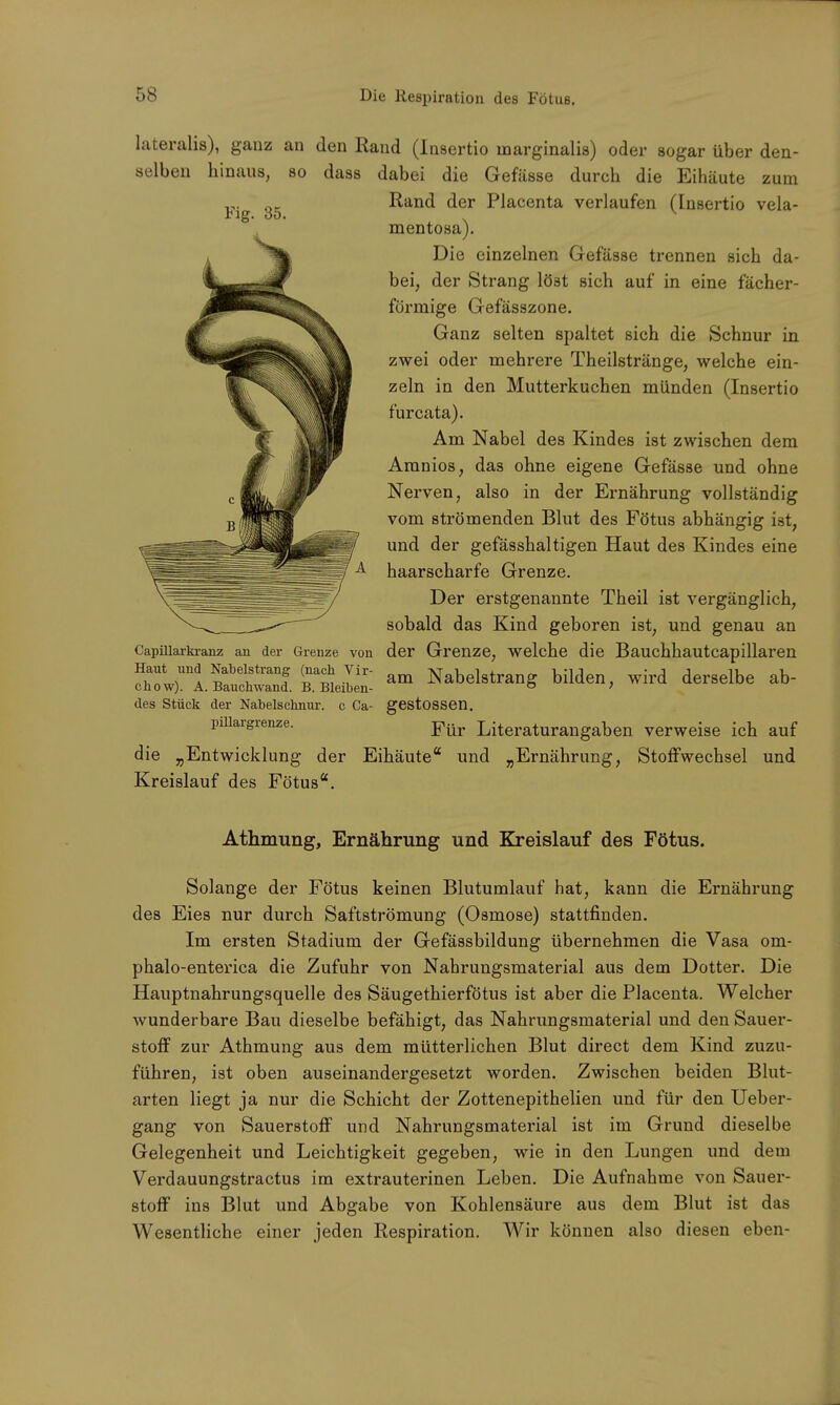 Fig. 35. lateralis), ganz an den Rand (Insertio inarginalis) oder sogar über den- selben hinaus, so dass dabei die Gefässe durch die Eihäute zum Rand der Placenta verlaufen (Insertio vela- mentosa). Die einzelnen Gefässe trennen sich da- bei, der Strang löst sich auf in eine fächer- förmige Gefässzone. Ganz selten spaltet sich die Schnur in zwei oder mehrere Theilstränge, welche ein- zeln in den Mutterkuchen münden (Insertio furcata). Am Nabel des Kindes ist zwischen dem Amnios, das ohne eigene Gefässe und ohne Nerven, also in der Ernährung vollständig vom strömenden Blut des Fötus abhängig ist, und der gefässhaltigen Haut des Kindes eine haarscharfe Grenze. Der erstgenannte Theil ist vergänglich, sobald das Kind geboren ist, und genau an der Grenze, welche die Bauchhautcapillaren am Nabelstrang bilden, wird derselbe ab- gestossen. Für Literaturangaben verweise ich auf die „Entwicklung der Eihäute und „Ernährung, Stoffwechsel und Kreislauf des Fötus. Capillarkranz an der Grenze von Haut und Nabelstrang (nach Vir- chow). A. Bauchwand. B. Bleiben- des Stück der Nabelschnur, c Ca- pillargrenze. Athmung, Ernährung und Kreislauf des Fötus. Solange der Fötus keinen Blutumlauf hat, kann die Ernährung des Eies nur durch Saftströmung (Osmose) stattfinden. Im ersten Stadium der Gefässbildung übernehmen die Vasa om- phalo-enterica die Zufuhr von Nahrungsmaterial aus dem Dotter. Die Hauptnahrungsquelle des Säugethierfötus ist aber die Placenta. Welcher wunderbare Bau dieselbe befähigt, das Nahrungsmaterial und den Sauer- stoff zur Athmung aus dem mütterlichen Blut direct dem Kind zuzu- führen, ist oben auseinandergesetzt worden. Zwischen beiden Blut- arten liegt ja nur die Schicht der Zottenepithelien und für den Ueber- gang von Sauerstoff und Nahrungsmaterial ist im Grund dieselbe Gelegenheit und Leichtigkeit gegeben, wie in den Lungen und dem Verdauungstractus im extrauterinen Leben. Die Aufnahme von Sauer- stoff ins Blut und Abgabe von Kohlensäure aus dem Blut ist das Wesentliche einer jeden Respiration. Wir können also diesen eben-