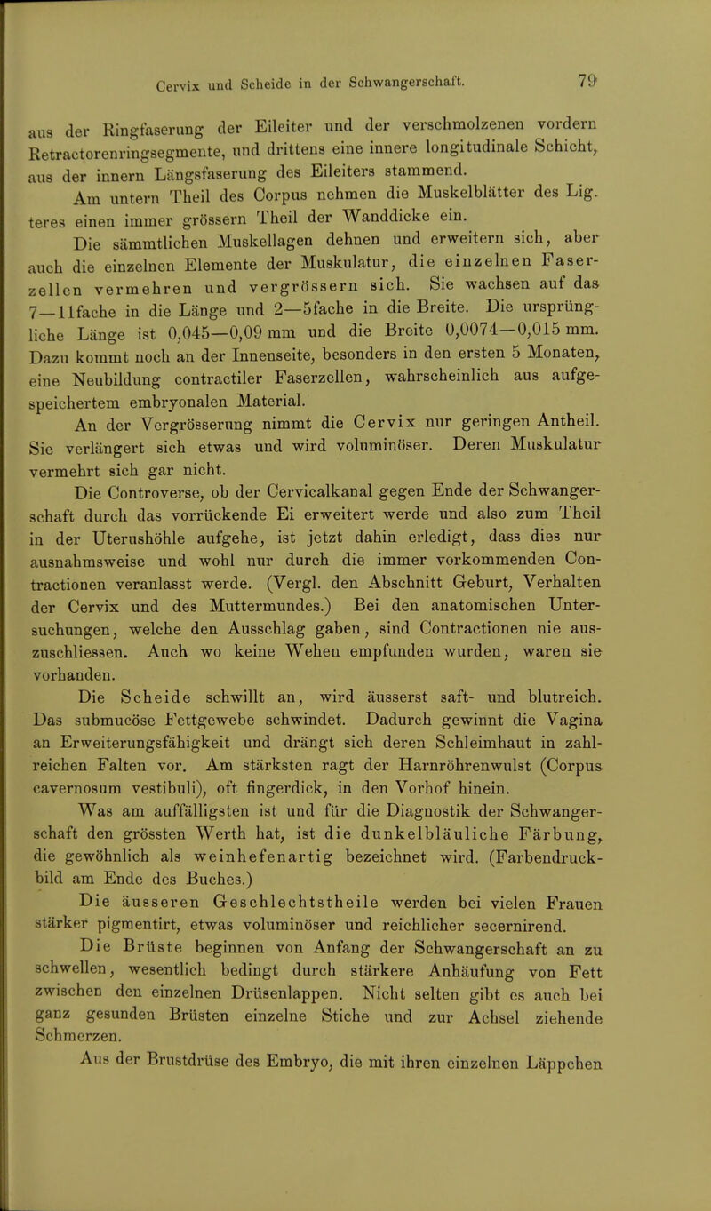aus der Ringfaserung der Eileiter und der verschmolzenen vordem Retractorenringsegmente, und drittens eine innere longitudinale Schicht, aus der innern Längsfaserung des Eileiters stammend. Am untern Theil des Corpus nehmen die Muskelblätter des Lig. teres einen immer grössern Theil der Wanddicke ein. Die sämmtlichen Muskellagen dehnen und erweitern sich, aber auch die einzelnen Elemente der Muskulatur, die einzelnen Faser- zellen vermehren und vergrössern sich. Sie wachsen auf das 7—llfache in die Länge und 2—5fache in die Breite. Die ursprüng- liche Länge ist 0,045—0,09 mm und die Breite 0,0074—0,015 mm. Dazu kommt noch an der Innenseite, besonders in den ersten 5 Monaten, eine Neubildung contractiler Faserzellen, wahrscheinlich aus aufge- speichertem embryonalen Material. An der Vergrößerung nimmt die Cervix nur geringen Antheil. Sie verlängert sich etwas und wird voluminöser. Deren Muskulatur vermehrt sich gar nicht. Die Controverse, ob der Cervicalkanal gegen Ende der Schwanger- schaft durch das vorrückende Ei erweitert werde und also zum Theil in der Uterushöhle aufgehe, ist jetzt dahin erledigt, dass dies nur ausnahmsweise und wohl nur durch die immer vorkommenden Con- tractionen veranlasst werde. (Vergl. den Abschnitt Geburt, Verhalten der Cervix und des Muttermundes.) Bei den anatomischen Unter- suchungen, welche den Ausschlag gaben, sind Contractionen nie aus- zuschliessen. Auch wo keine Wehen empfunden wurden, waren sie vorhanden. Die Scheide schwillt an, wird äusserst saft- und blutreich. Das submucöse Fettgewebe schwindet. Dadurch gewinnt die Vagina an Erweiterungsfähigkeit und drängt sich deren Schleimhaut in zahl- reichen Falten vor. Am stärksten ragt der Harnröhrenwulst (Corpus cavernosum vestibuli), oft fingerdick, in den Vorhof hinein. Was am auffälligsten ist und für die Diagnostik der Schwanger- schaft den grössten Werth hat, ist die dunkelbläuliche Färbung, die gewöhnlich als weinhefenartig bezeichnet wird. (Farbendruck- bild am Ende des Buches.) D ie äusseren Geschlechtstheile werden bei vielen Frauen stärker pigmentirt, etwas voluminöser und reichlicher secernirend. Die Brüste beginnen von Anfang der Schwangerschaft an zu schwellen, wesentlich bedingt durch stärkere Anhäufung von Fett zwischen den einzelnen Drüsenlappen. Nicht selten gibt es auch bei ganz gesunden Brüsten einzelne Stiche und zur Achsel ziehende Schmerzen. Aus der Brustdrüse des Embryo, die mit ihren einzelnen Läppchen