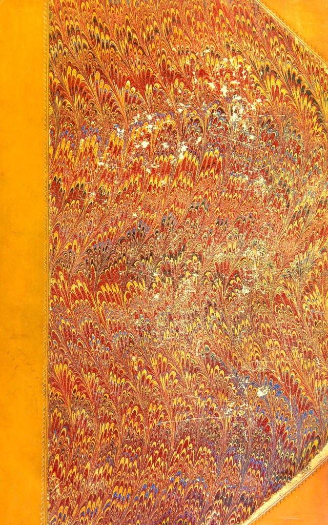 No text description is available for this image