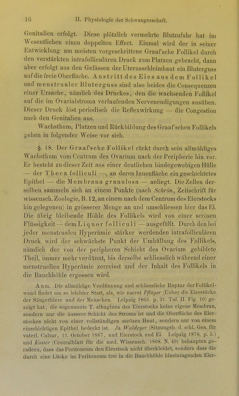 Genitalien erfolgt. Diese plötzlich vermehrte Blutzufuhr hat im Wesentlichen einen doppelten Effect. Einmal wird der in seiner Entwicklung am meisten vorgeschrittene Graafsche Follikel durch den verstärkten intrafolliculären Druck zum Platzen gebracht, dann aber erfolgt aus den Gefässen der Uterusschleimhaut ein Bluterguss auf die freie Oberfläche. Austritt des Eies aus dem Follikel und menstrualer Bluterguss sind also beides die Consequenzen einer Ursache, nämlich des Druckes, den die wachsenden Follikel auf die im Ovarialstroma verlaufenden Nervenendigungen ausüben. Dieser Druck löst periodisch die Reflexwirkung — die Congestion nach den Genitalien aus. Wachsthum, Platzen und Rückbildung des Graafschen Follikels gehen in folgender Weise vor sich. §. 18. Der Graafsche Follikel rückt durch sein allmähliges Wachsthum vom Centrum des Ovarium nach der Peripherie hin vor. Er besteht zu dieser Zeit aus einer deutlichen bindegewebigen Hülle — der Theca folliculi —, an deren Innenfläche eingeschichtetes Epithel — die Membrana gr anulosa — anliegt. Die Zellen der- selben sammeln sich an einem Punkte (nach Schrön, Zeitschrift für wissensch. Zoologie, B. 12, an einem nach dem Centrum des Eierstocks hin gelegenen) in grösserer Menge an und umschliessen hier das Ei. Die übrig bleibende Höhle des Follikels wird von einer serösen Flüssigkeit — dem L i q u o r folliculi — ausgefüllt. Durch den bei jeder menstrualen Hyperämie stärker werdenden intrafolliculären Druck wird der schwächste Punkt der Umhüllung des Follikels, nämlich der von der peripheren Schicht des Ovarium gebildete Theil, immer mehr verdünnt, bis derselbe schliesslich während einer menstruellen Hyperämie zerreisst und der Inhalt des Follikels in die Bauchhöhle ergossen wird. Anm. Die allrnählige Verdünnung und seliliessliche Euptur derFollikel- wand findet um so leichter Statt, als, wie zuerst Pflüger (Ueber die Eierstöcke der Säugethiere und der Menschen. Leipzig 1863. p. 31. Tat'. II. Fig. 10) ge- zeigt hat, die sogenannte T. albuginea des Eierstocks keine eigene Membran, sondern nur die äussere Schicht des Stroma ist und die Oberfläche de» Eier- stockes nicht von einer vollständigen serösen Haut, sondern nur von einem einschichtigen Epithel bedeckt ist. Ja Waldeyer (Sitzungsb. d schl, Ges. für vaterl. Cultur, 11. October 1867, und Eierstock und Ei. Leipzig 1870, p. 5.) % und Koster (Centraiblatt für die med. Wissensch. 1S68. N. 49) behaupten ge- radezu, dass das Peritoneum den Eierstock nicht überkleidet, sondern dass die durch eine Lücke im Peritoneum frei in die Bauchhöhle hineinragenden Eier-